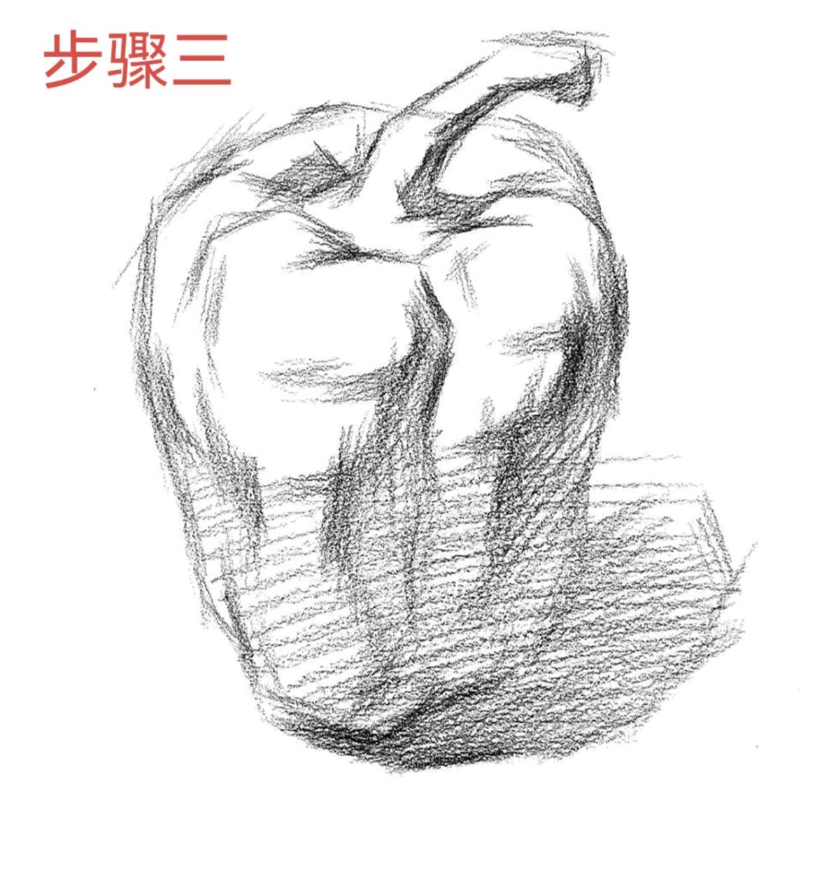 素描青椒 结构图片