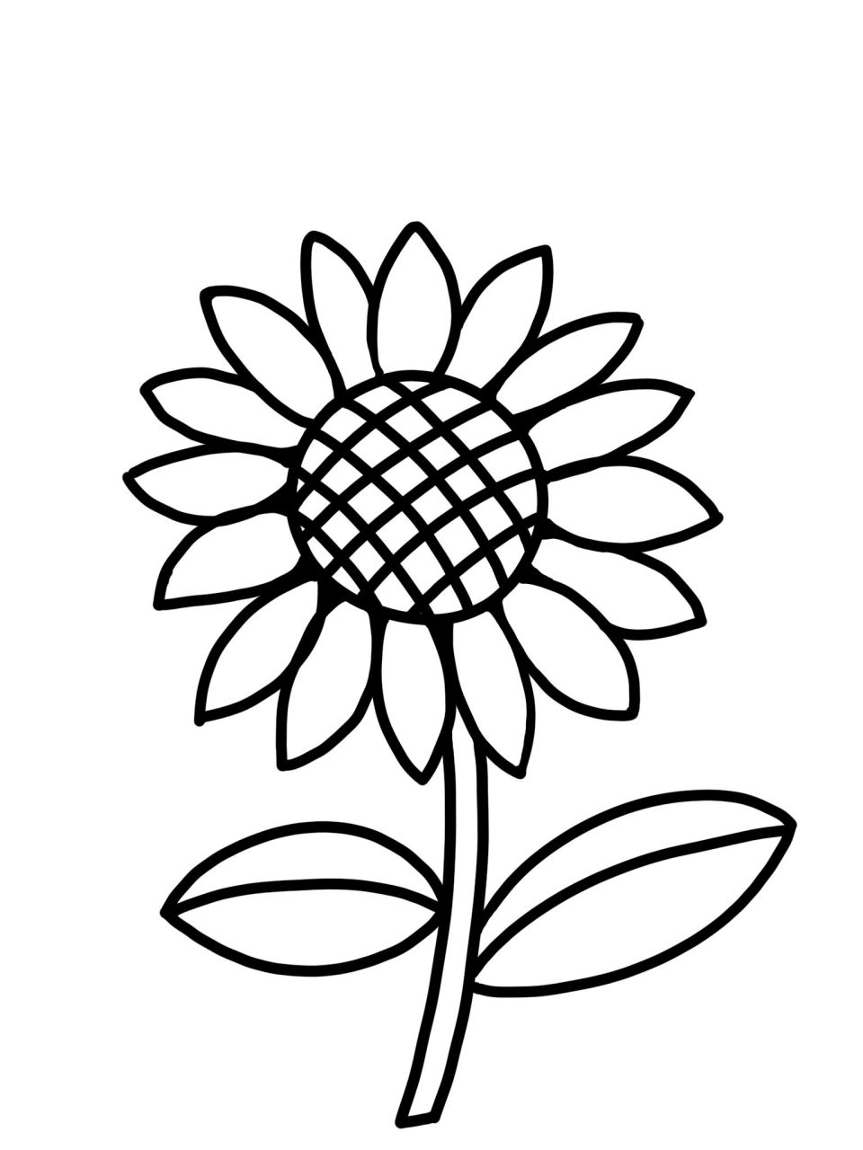 儿童简笔画|向日葵🌼🌼 大家好!