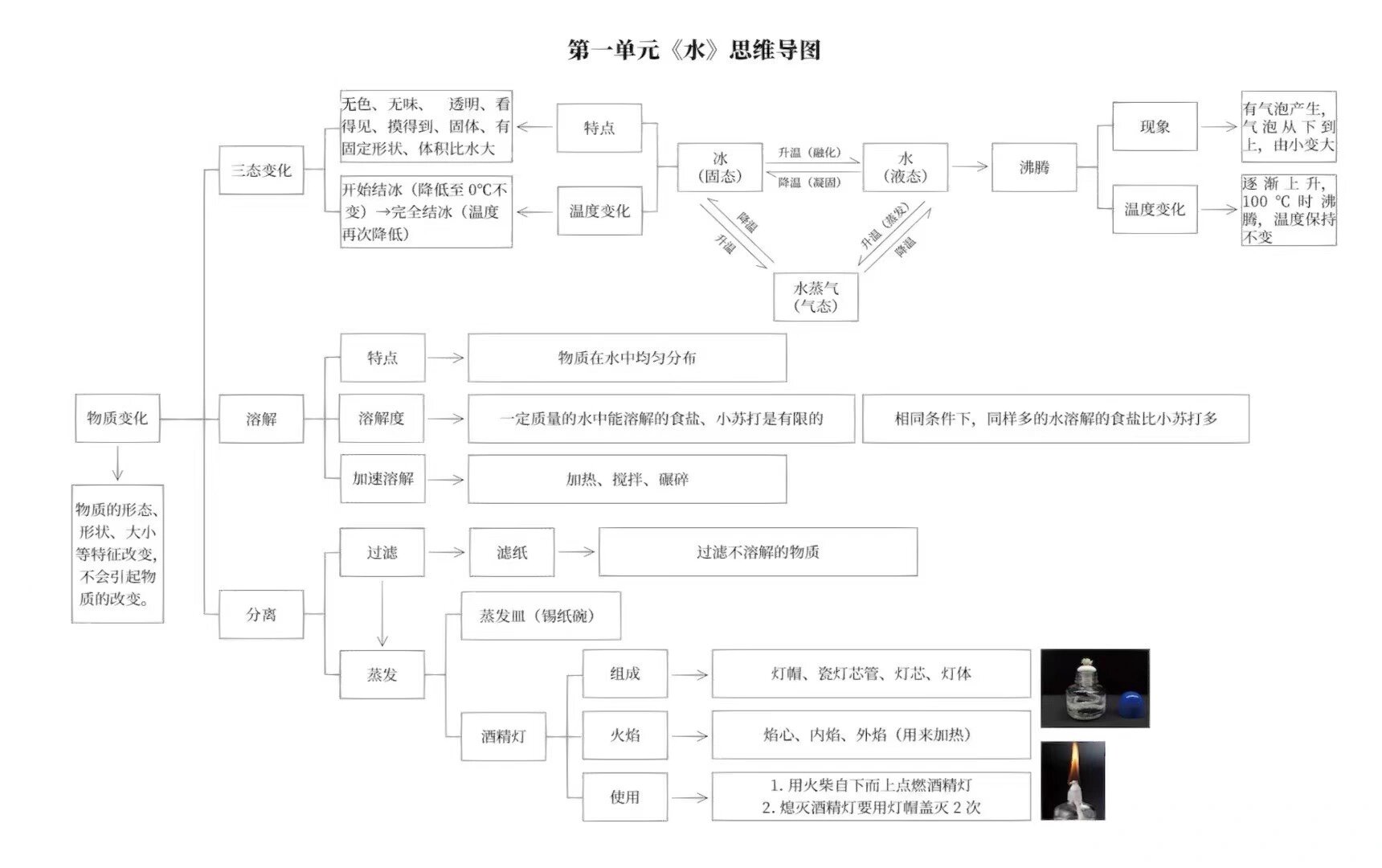 三年级上 科学 思维导图 整理复习