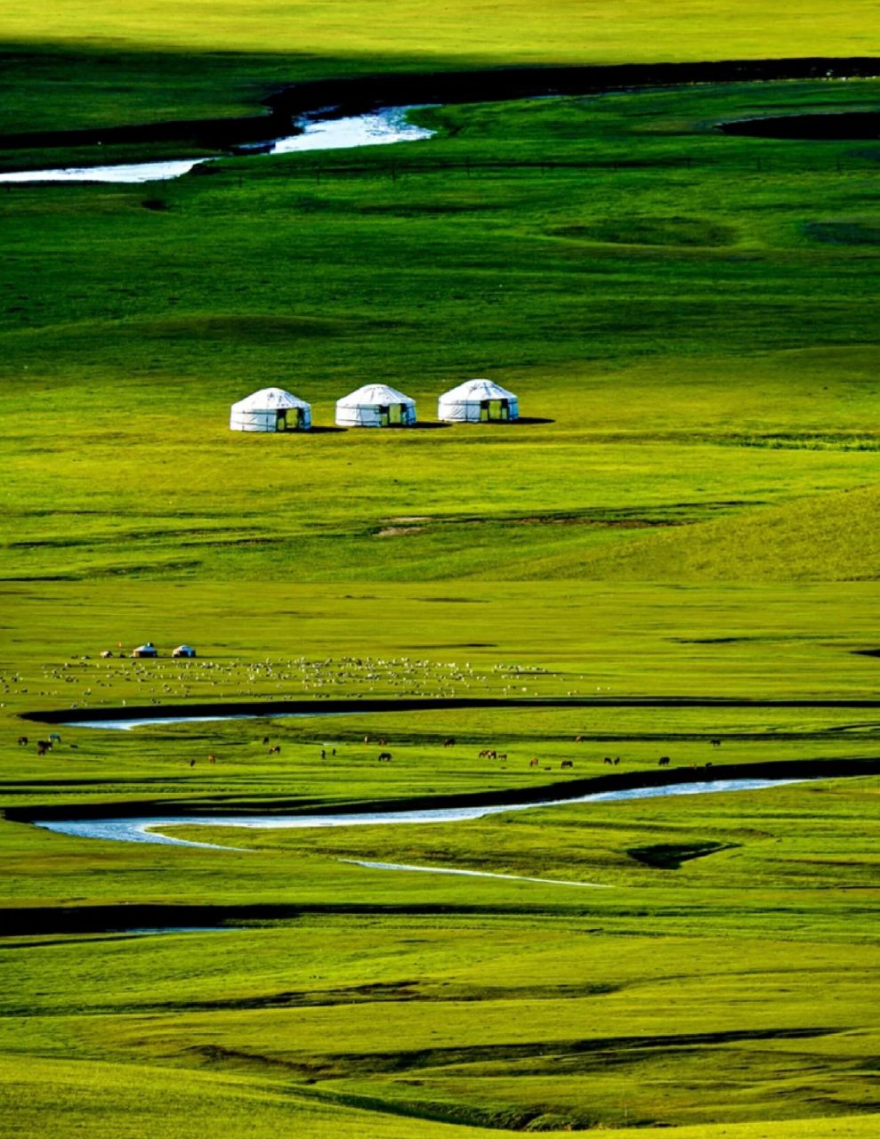 环线4-9日游可自由组合 大兴安岭沿线⑦日游 广阔草原-呼伦贝尔,神秘