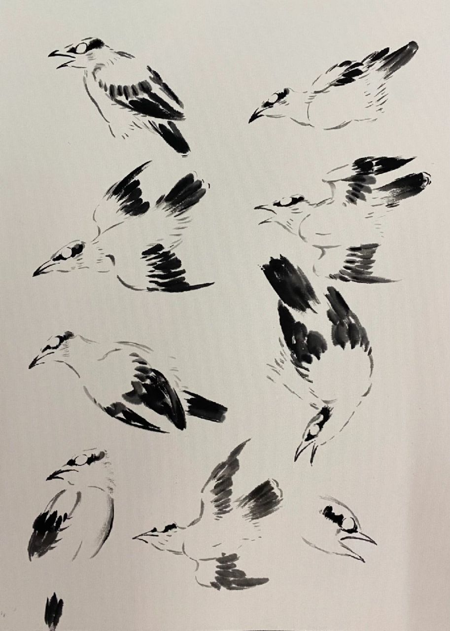 国画打卡第28篇  黄鹂画法