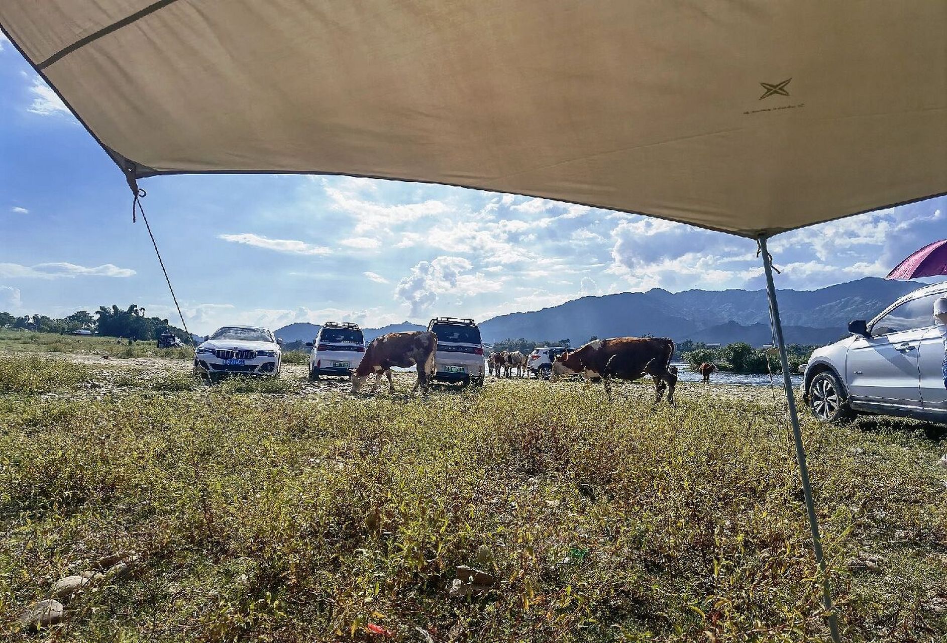 融安大洲#柳州露营   7815交通/目的地:融安大洲岛洲头,距离融安