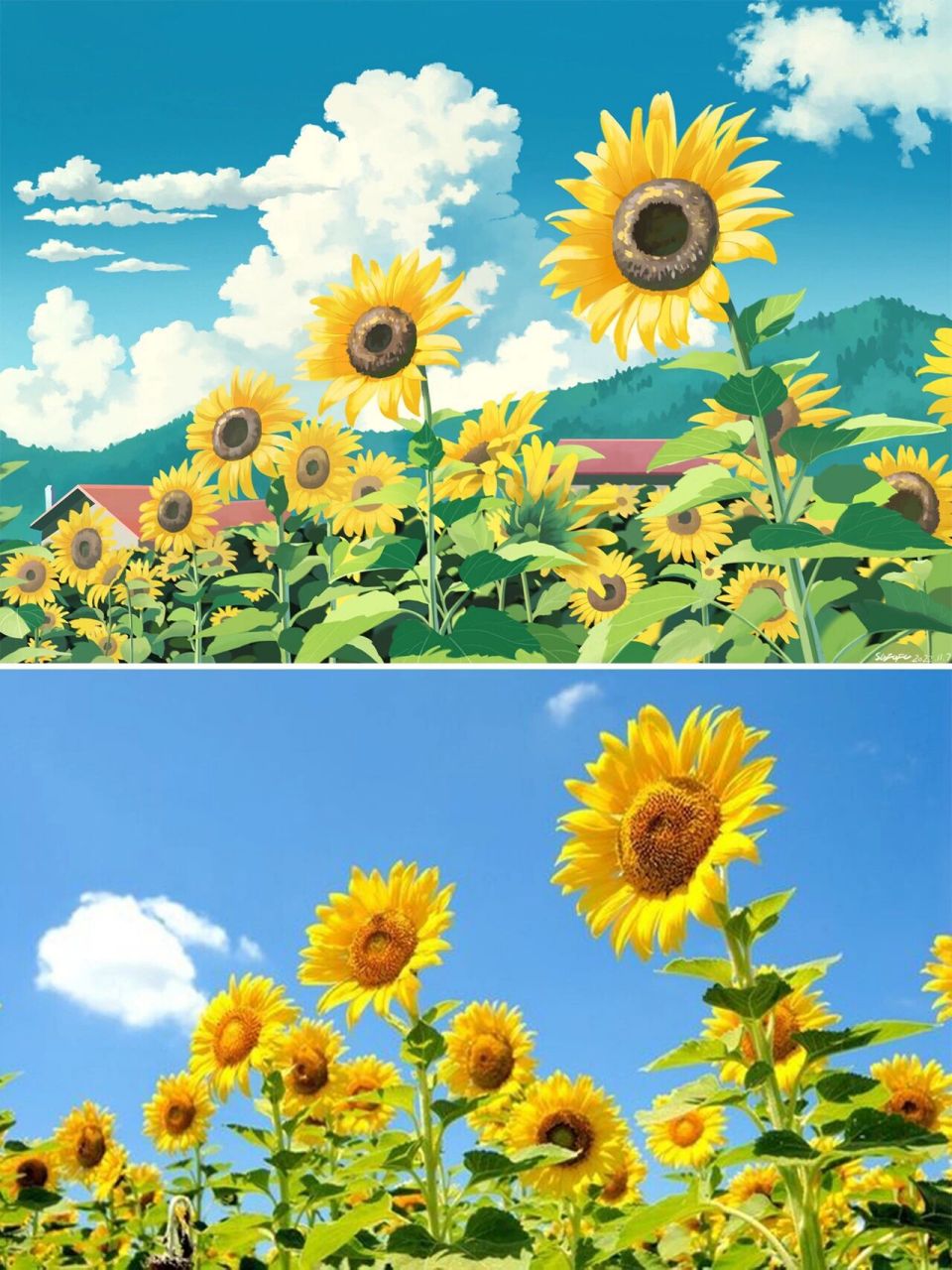 向日葵~治愈系插画 记得小时候和伙伴们在田野里挖向日葵,金灿灿的