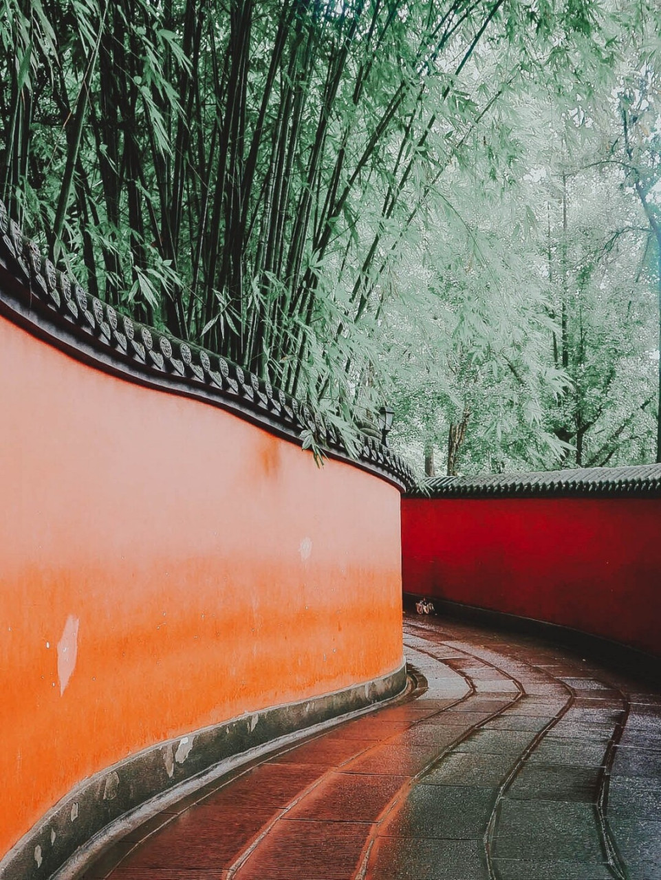 成都最美的一道红墙,武侯祠内论三国 成都武侯祠号称三国圣地,始建于