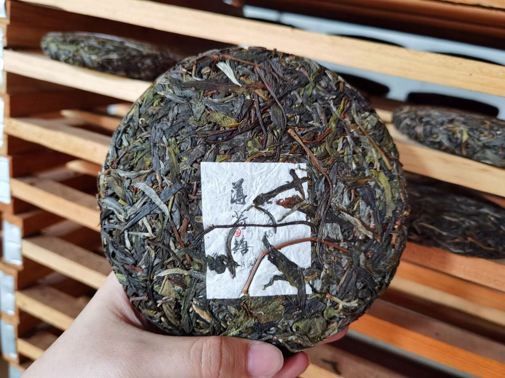 普洱茶中"新秀"薄荷塘 对于薄荷塘,你了解多少呢?