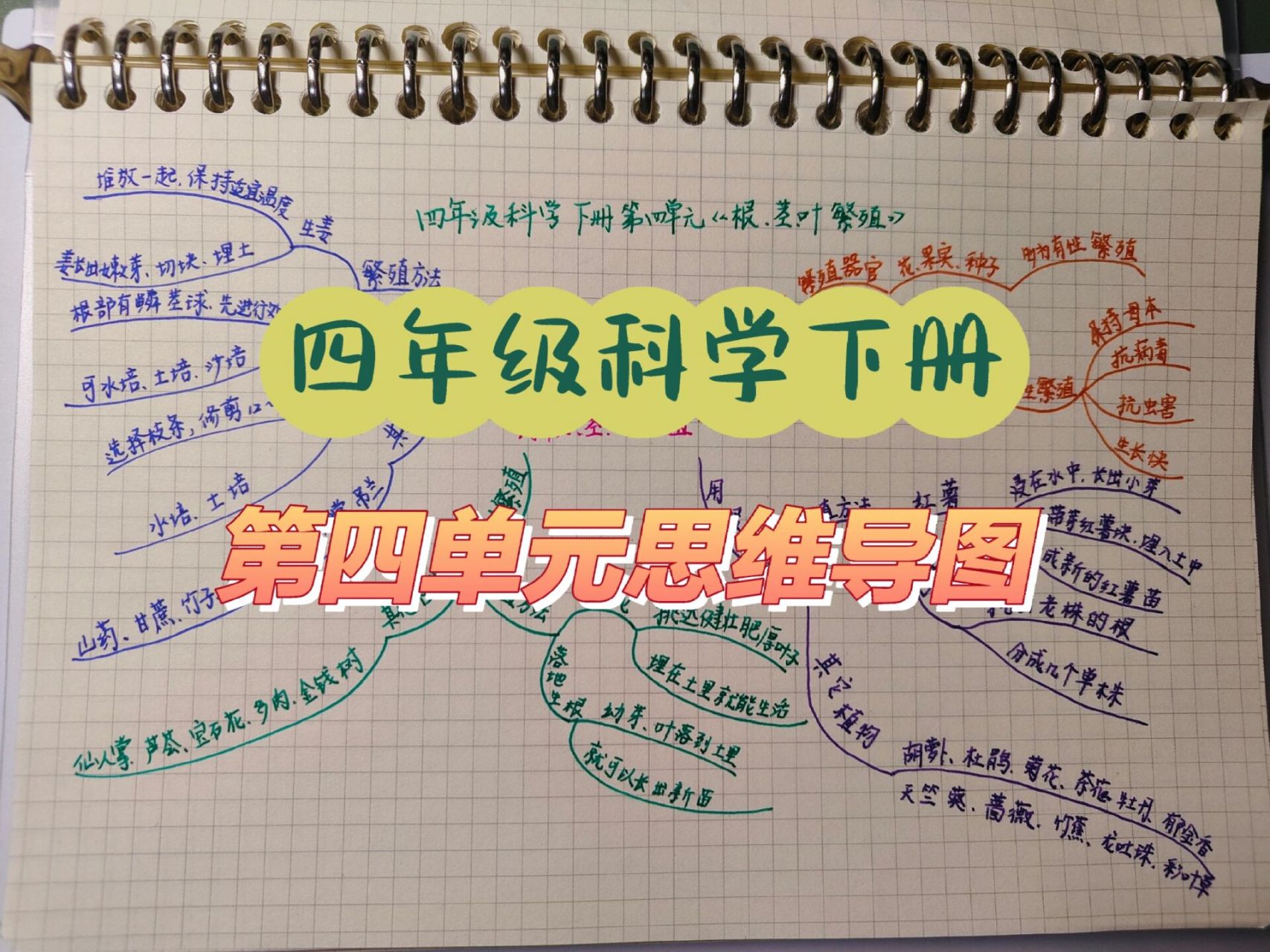 四年级科学下册第四单元思维导图 四年级科学下册第四单元《用根,茎