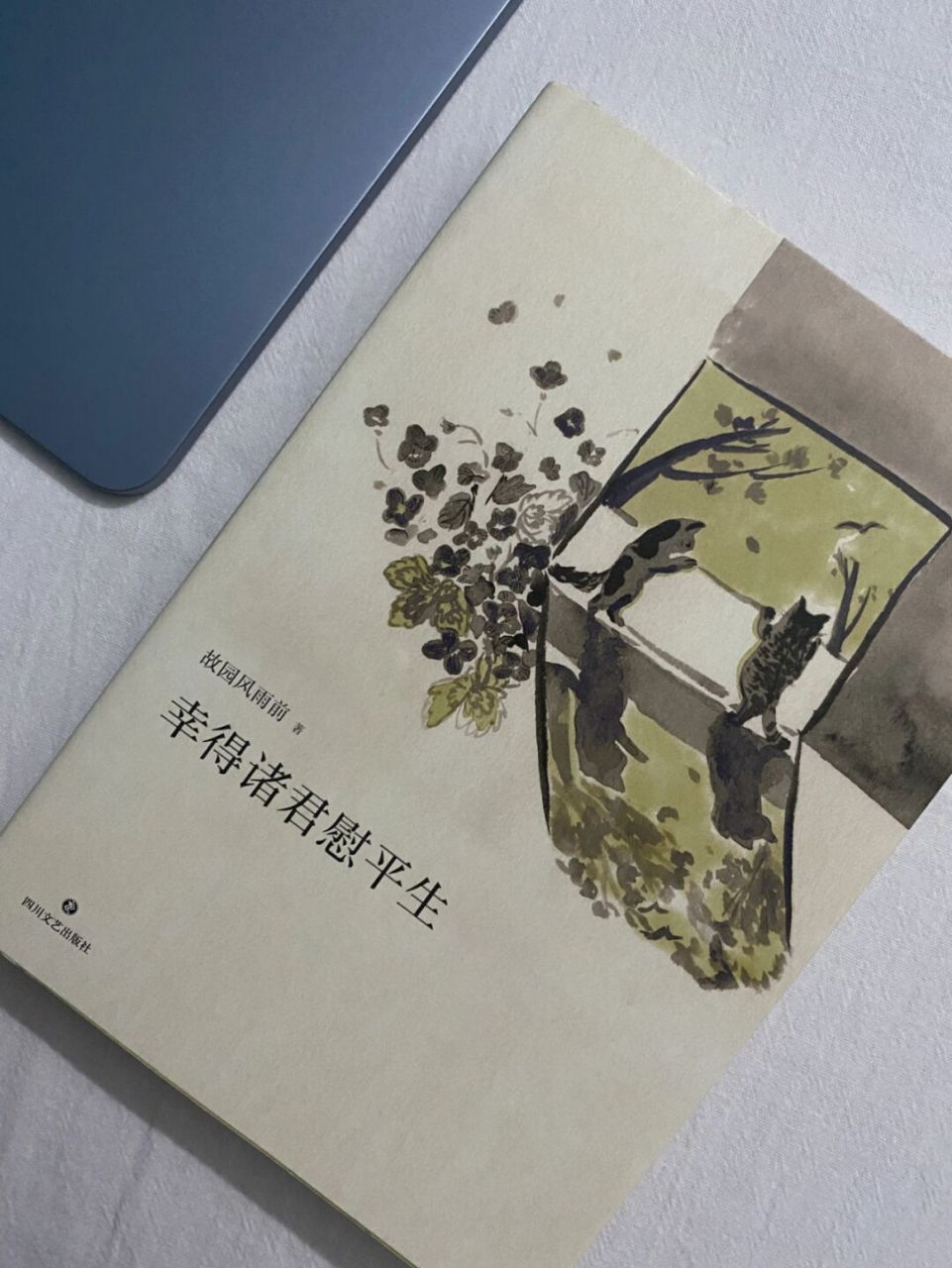 [期待] 从来没遇到过像本书一样能把那些平淡无奇事物写出花来.