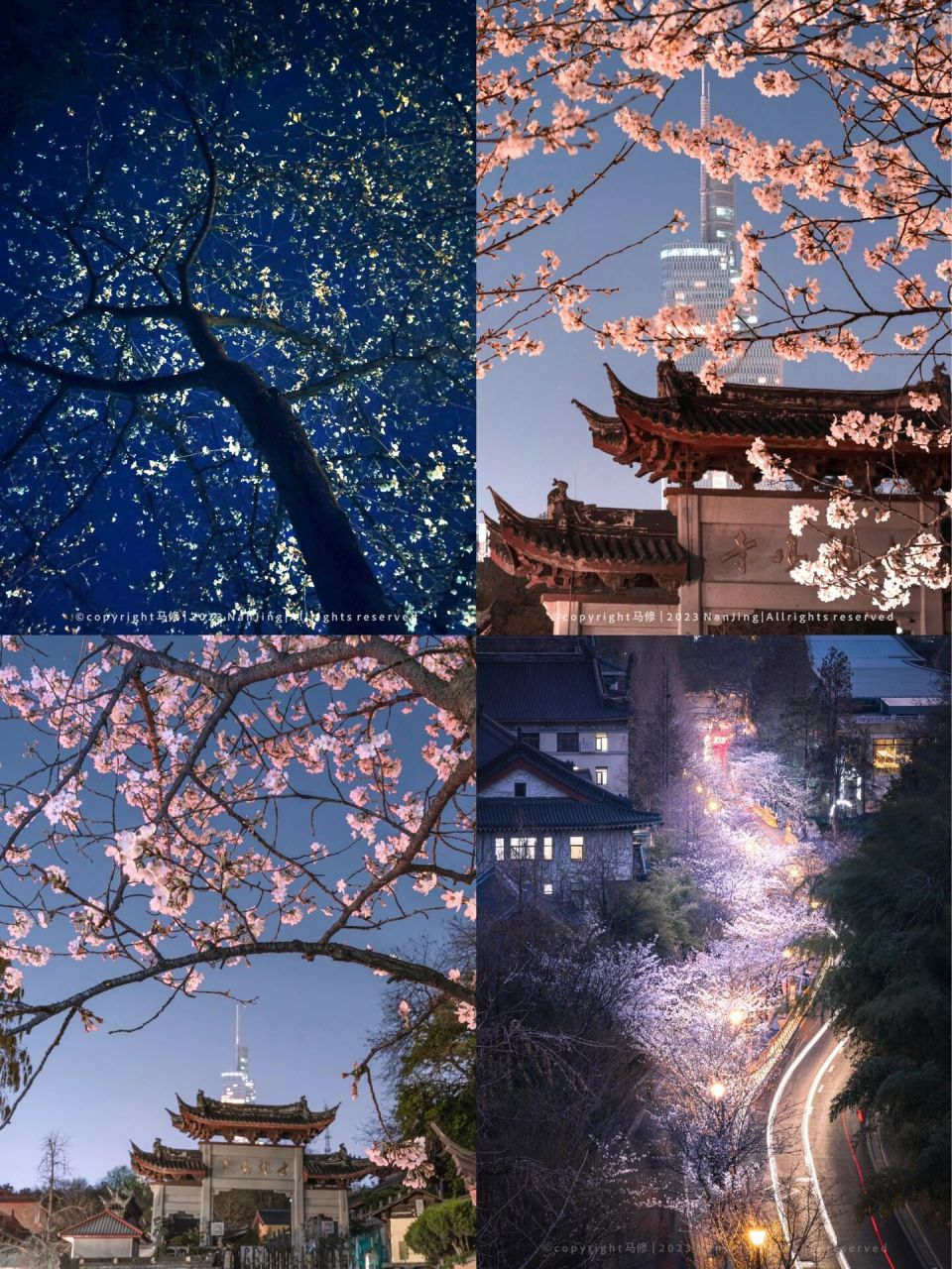 鸡鸣寺的夜樱,美的像画 鸡鸣寺的樱花基本已经全部绽放, 夜晚的樱花也