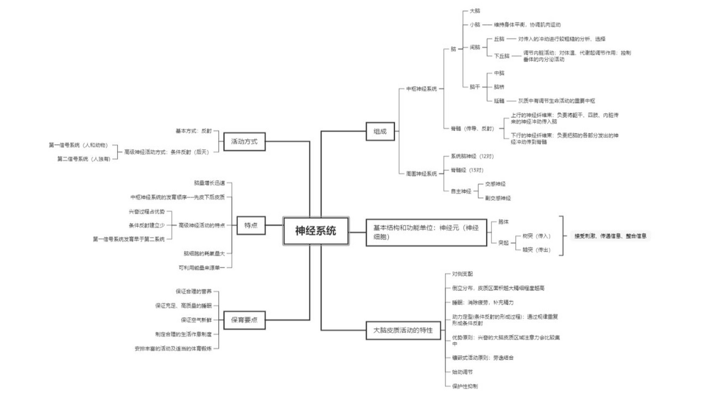 人体神经系统思维导图图片