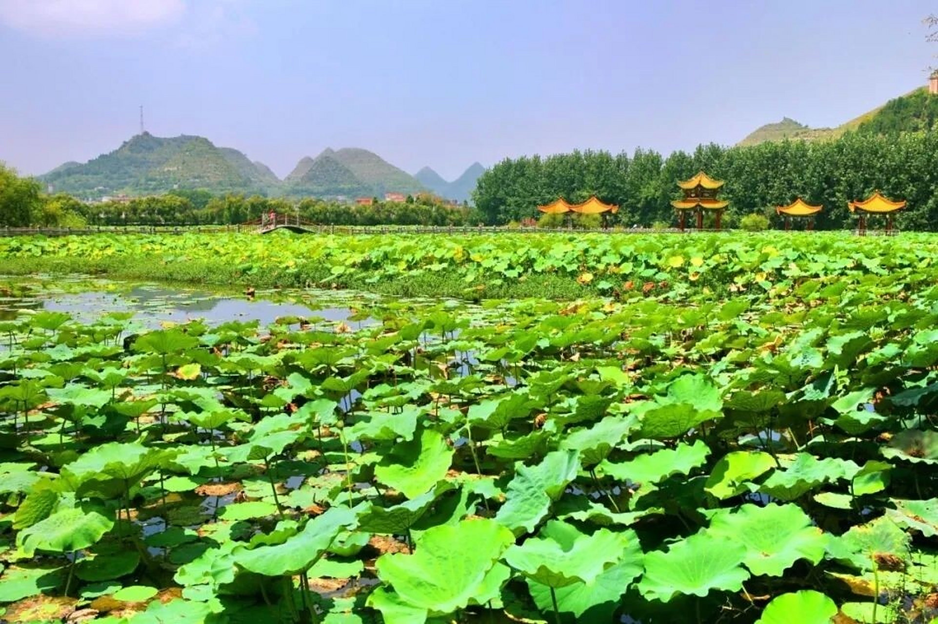 安龙县山川奇异,风景秀丽多姿,是享誉滇,桂,黔三省的旅游胜地,素有"小
