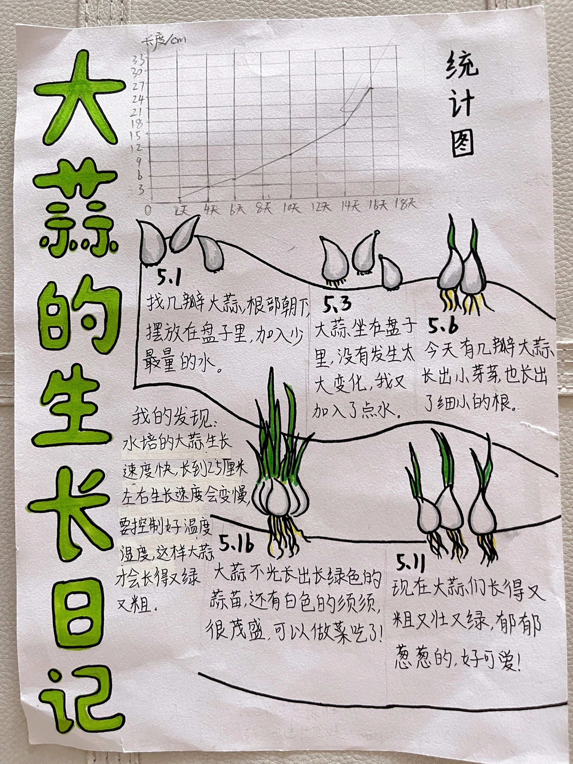 自然观察日记带图图片