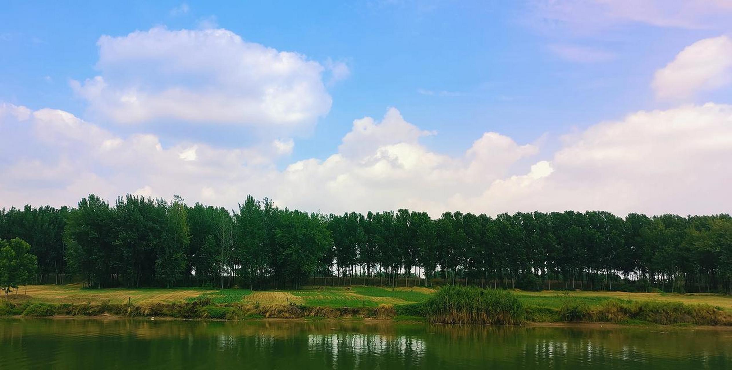 蒙城涡河河边风景随拍