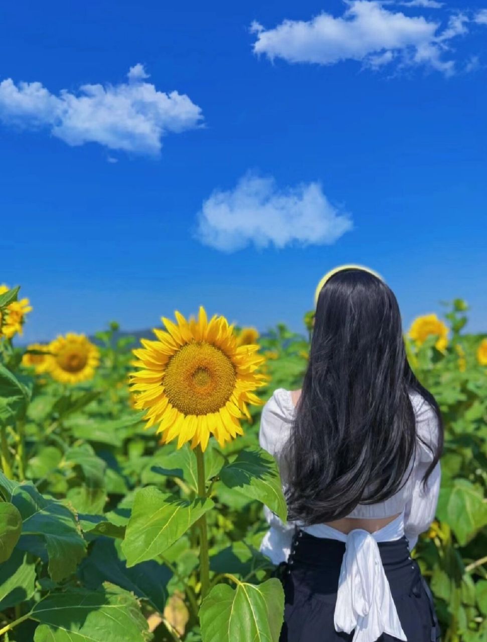 图片分享#温柔背影杀 感情再深,恩义再浓的朋友,天涯远隔,情义,终将