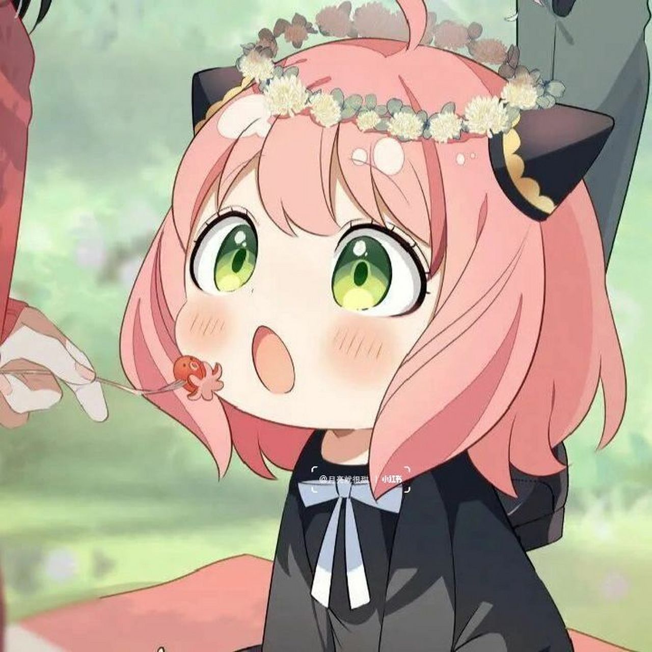 阿尼亚头像合集:奥利给给 奥利给给    拿图私我