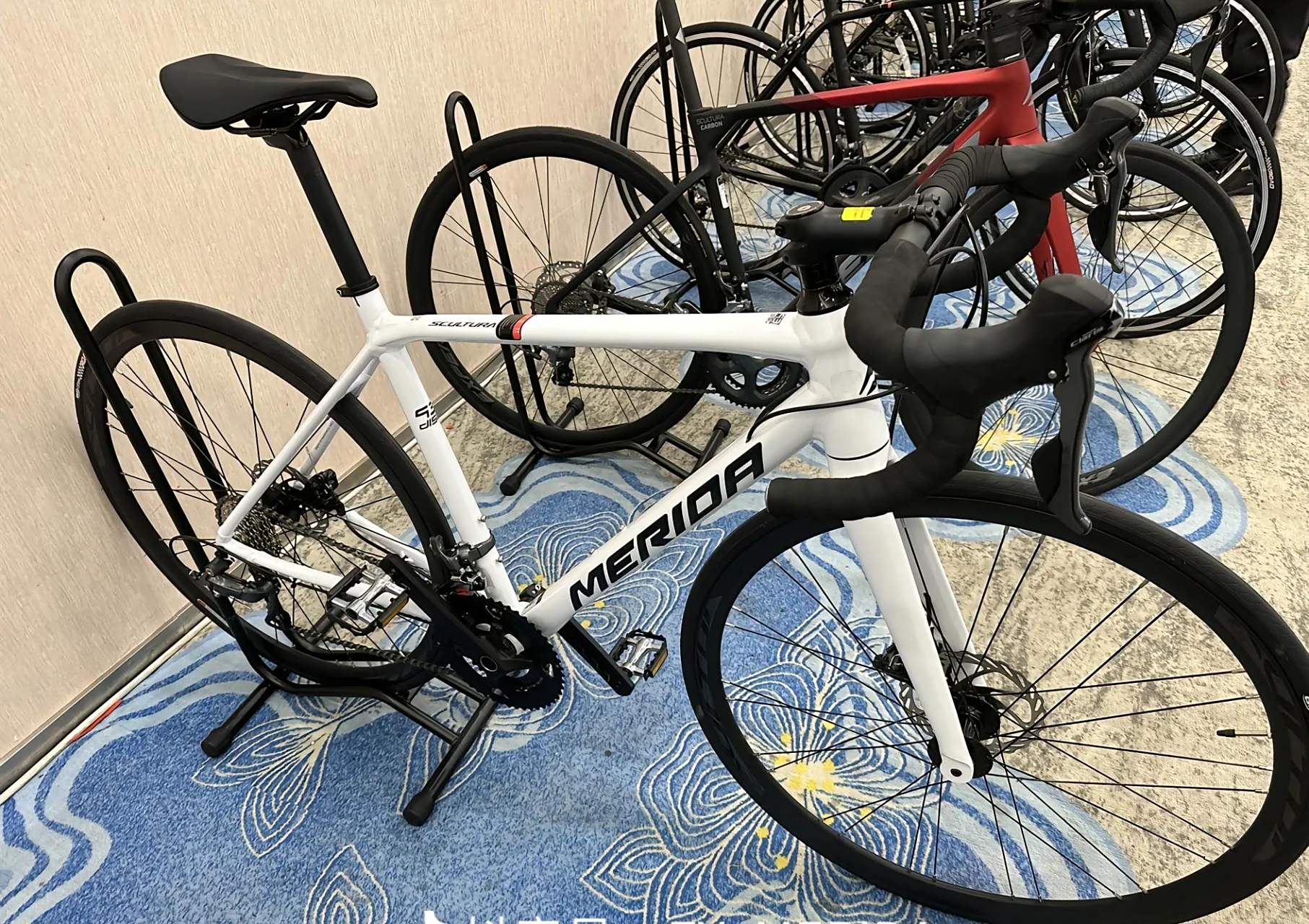 美利达2024爆款来袭全新斯特拉carbon卡本,万元内最强大牌碳架斯特拉