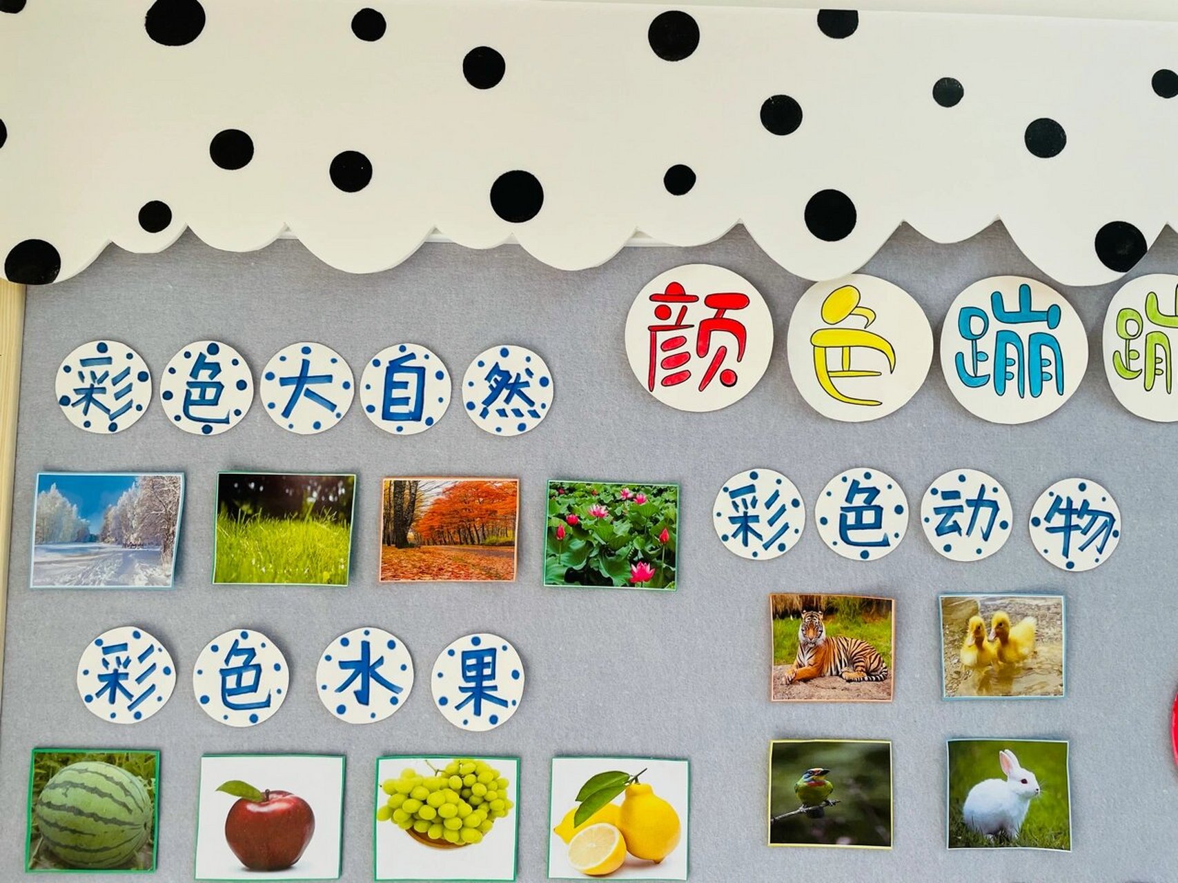 幼儿园小班主题墙《颜色蹦蹦跳》