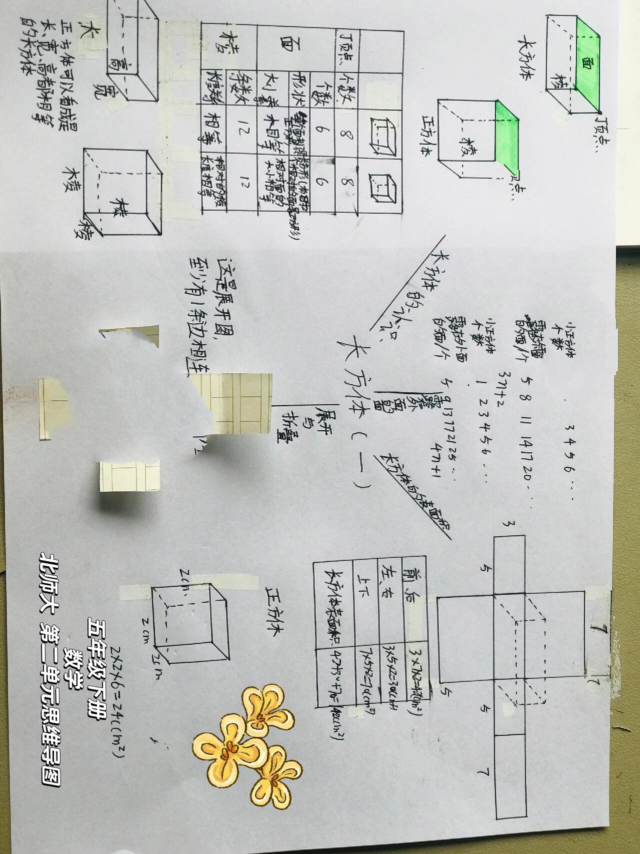 五年级下册数学北师大第二单元思维导图