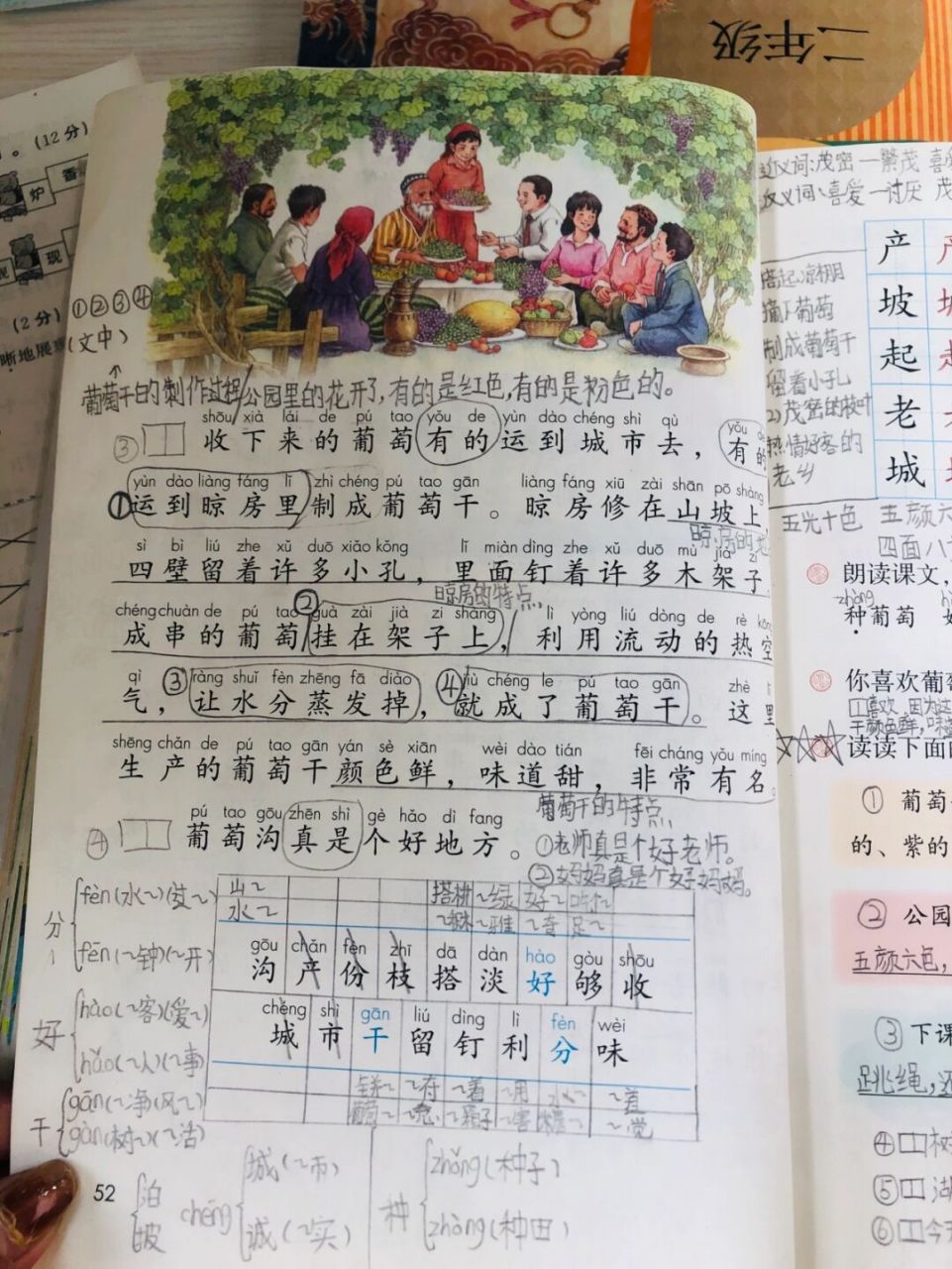 二上语文《葡萄沟》学生笔记