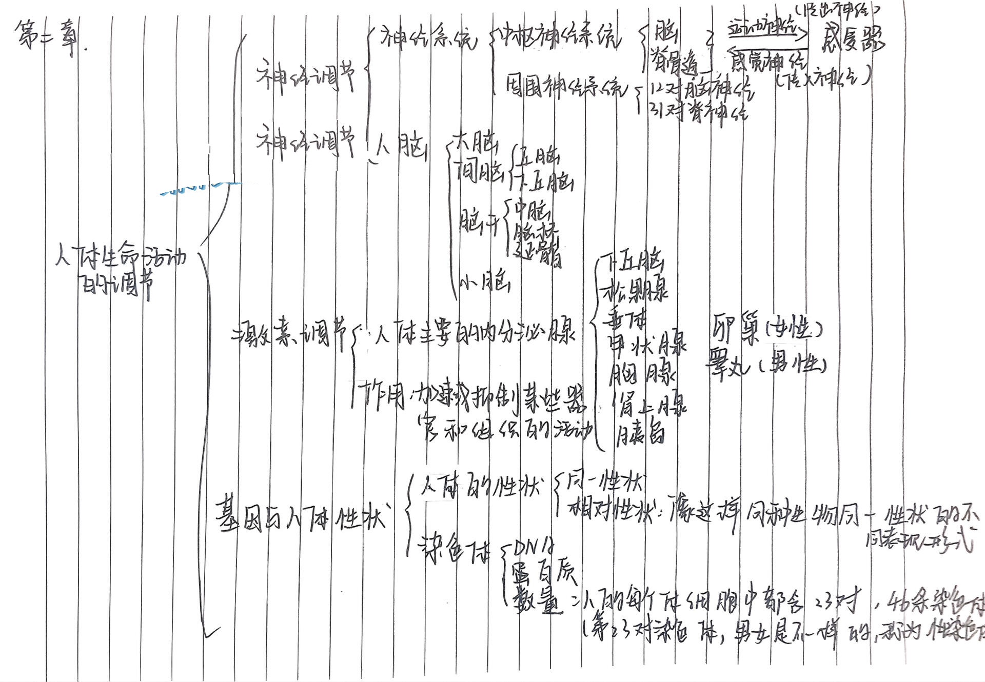 沪教版生命科学八上第一到第三章思维导图