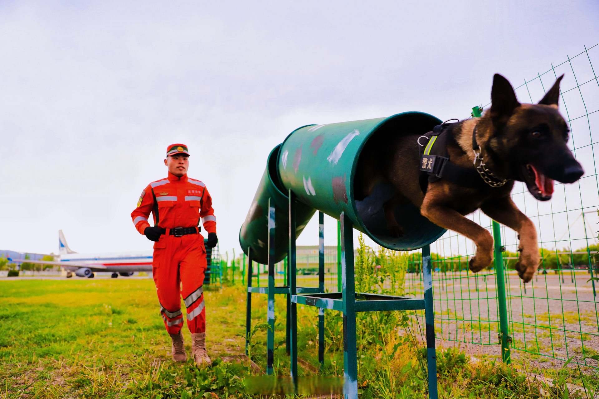 武警广州警犬基地政委图片