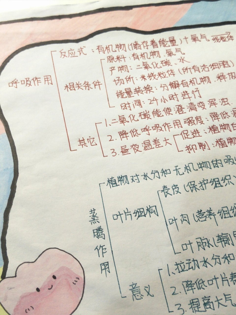 生物思维导图 植物的呼吸作用和蒸腾作用