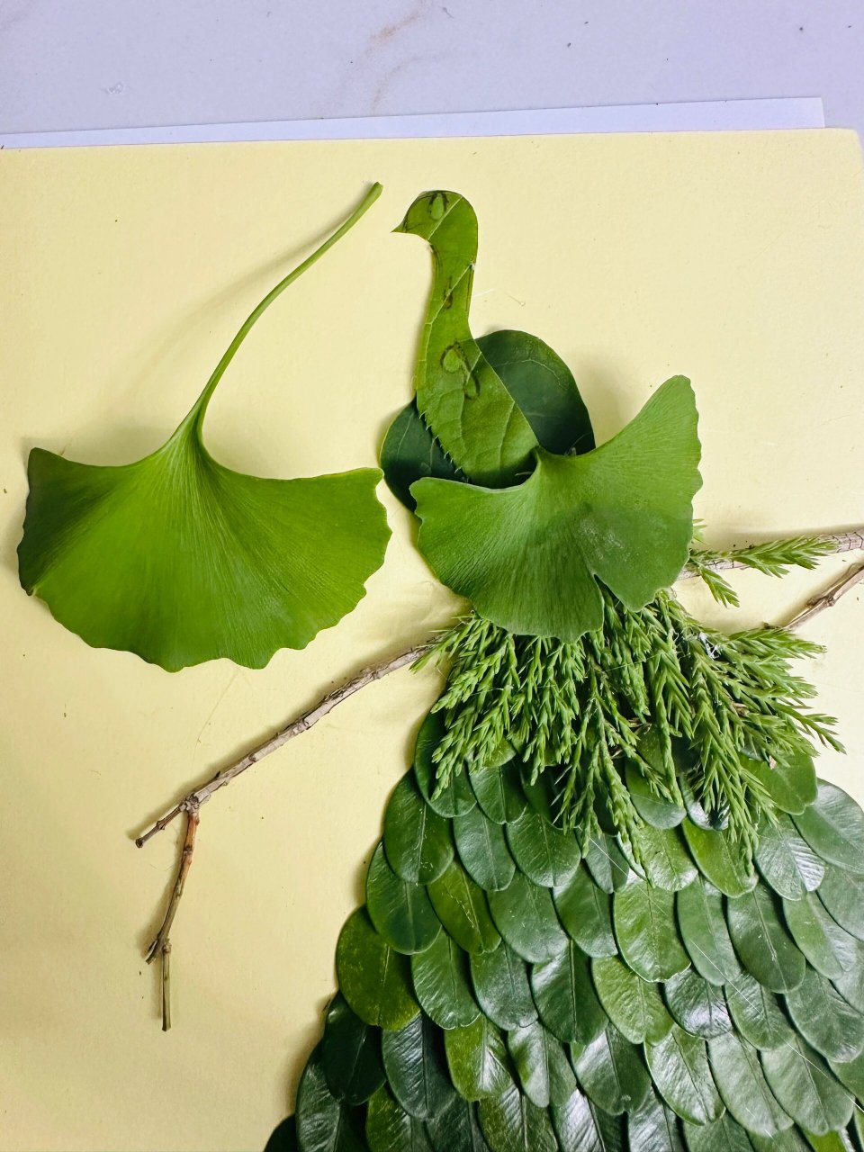 创意叶画 三年级春游实践活动植物园作业一副叶画,由于春天区别于秋天