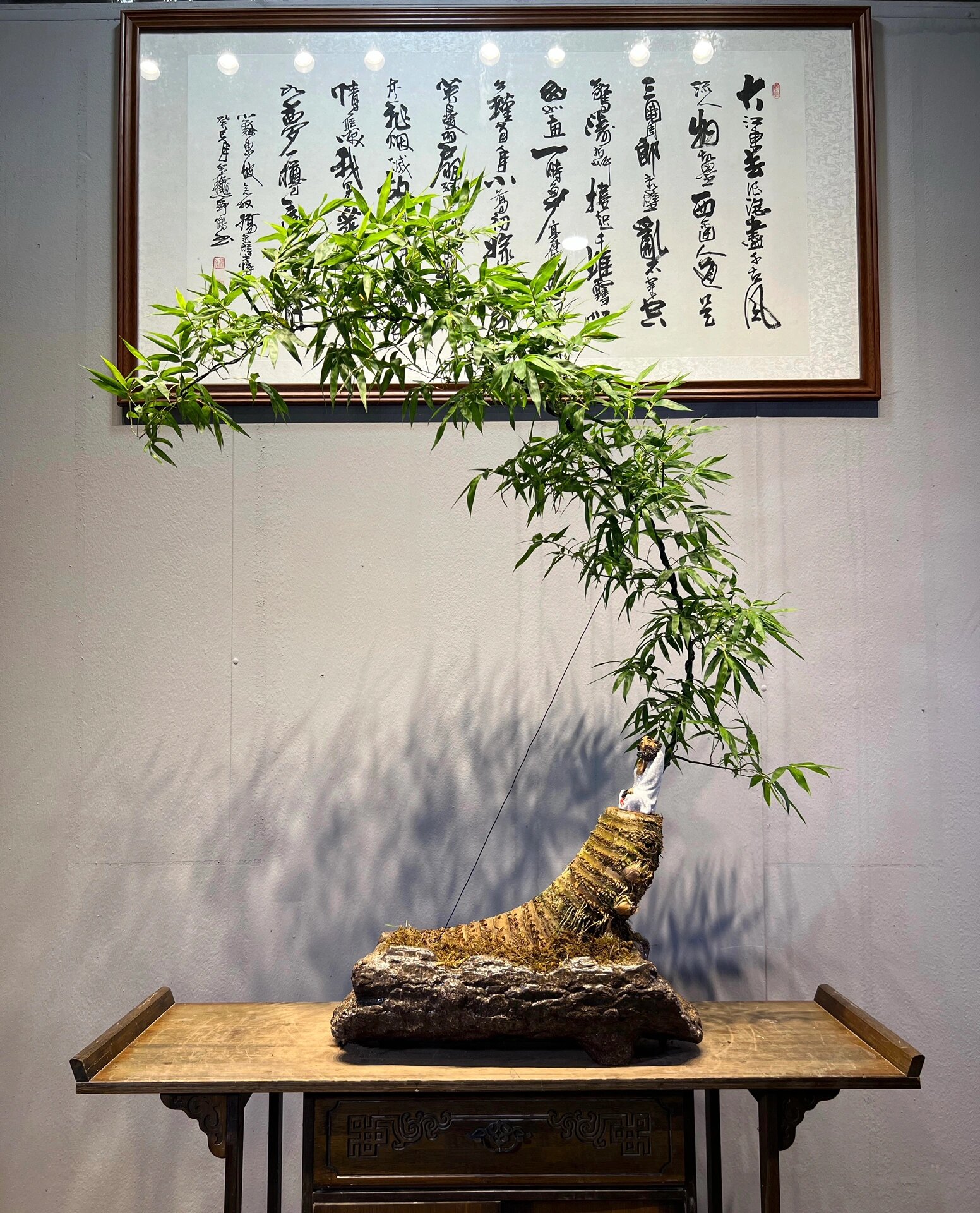 精品簕竹盆景