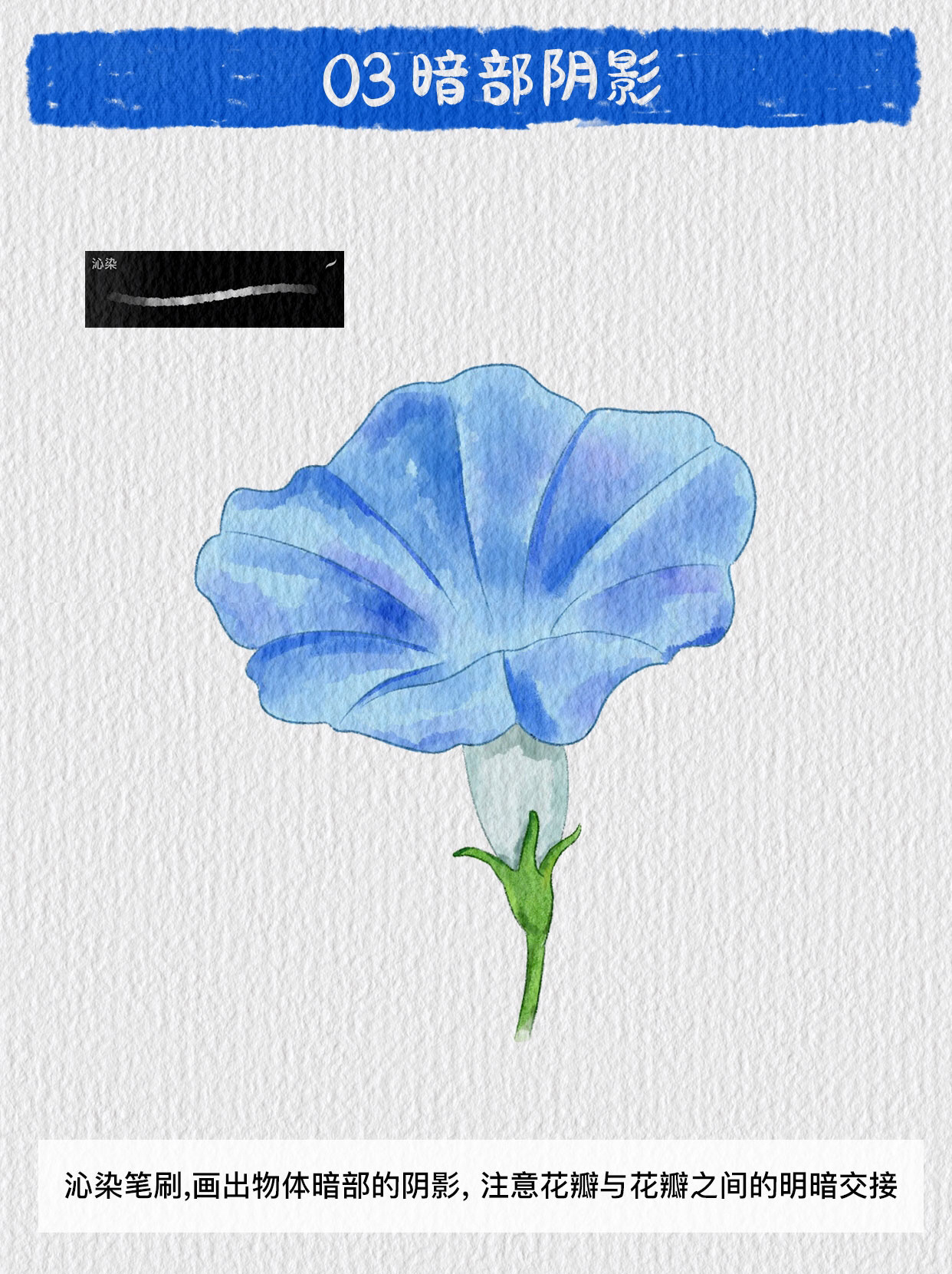 ipad水彩画分享|四步搞定系列|喇叭花 喇叭花又名牵牛花,它还有个诗意