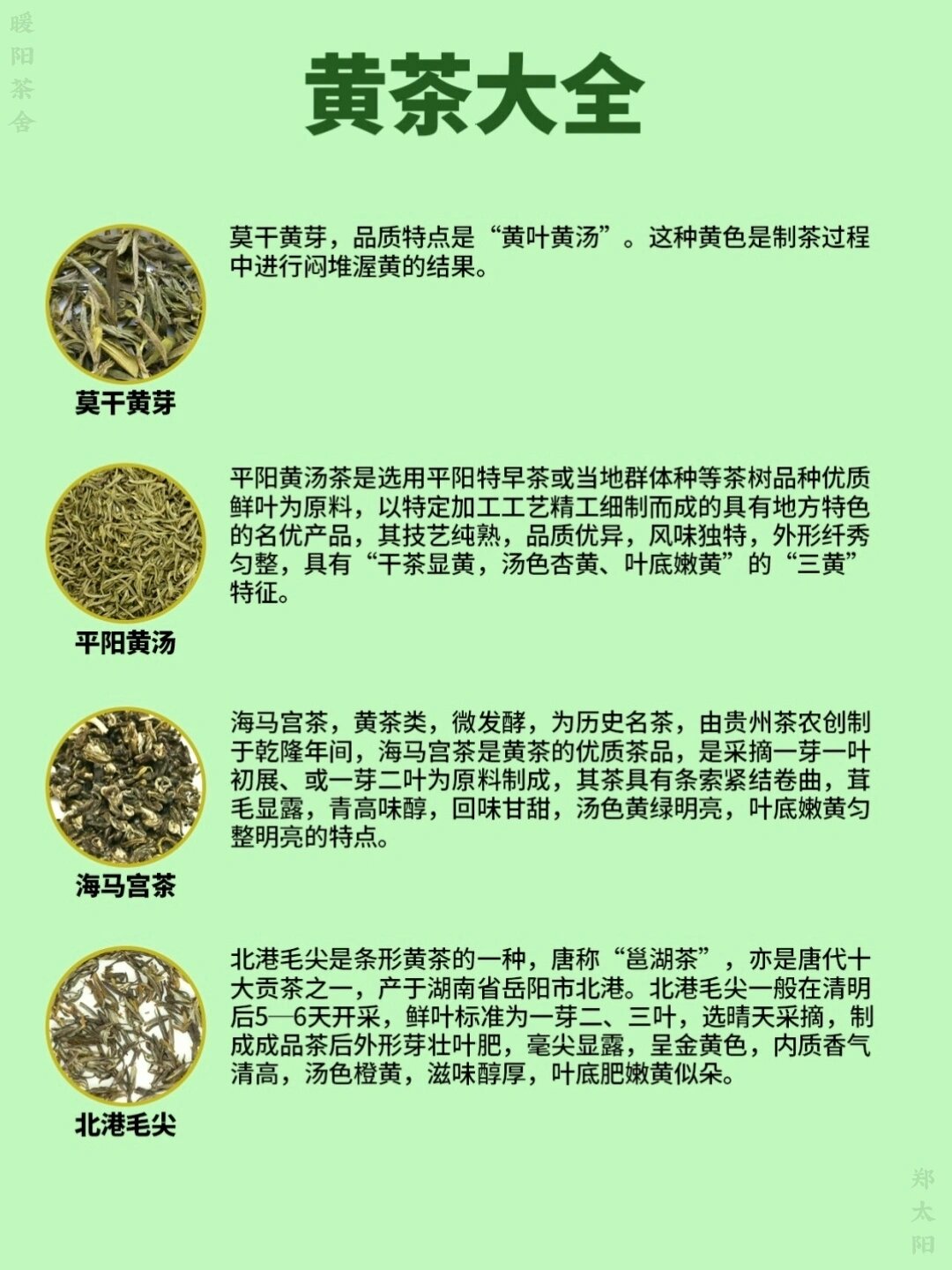 茶知识:黄茶品种大全
