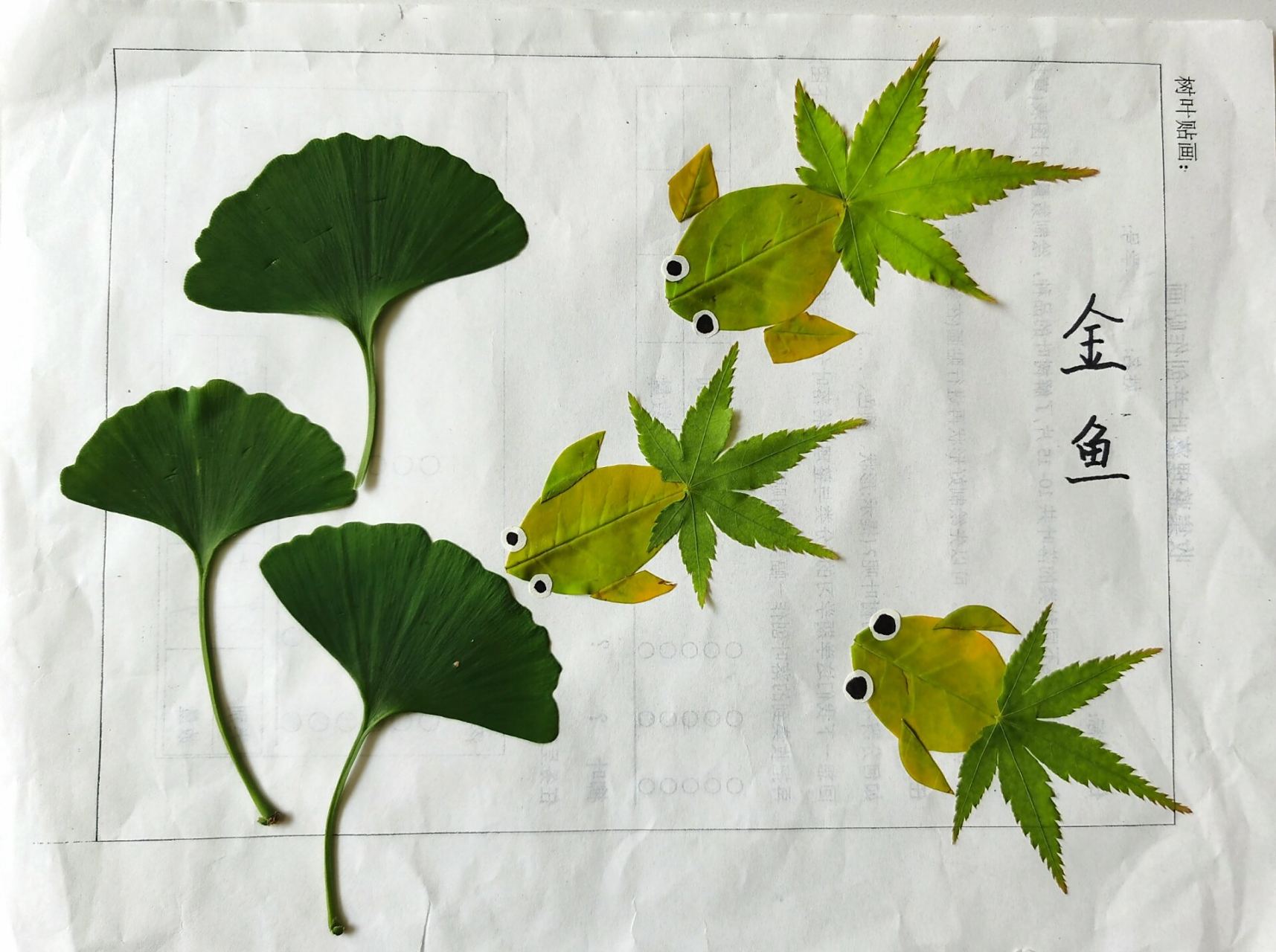 超级简单的树叶画 几片银杏叶,加几片枫树叶,来做小金鱼吧超级简单易