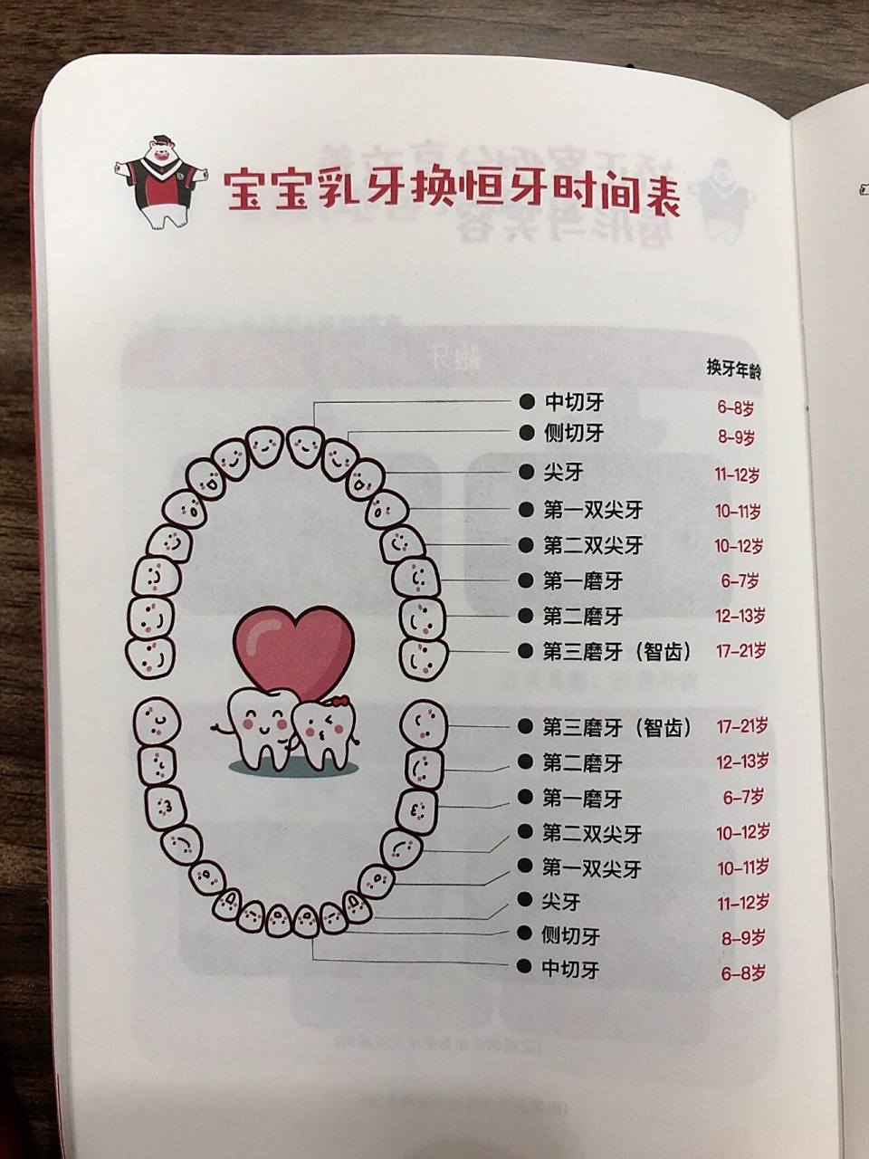 宝宝换牙时间和顺序你造吗 一般来说,当儿童8岁左右,乳牙就会自动松动