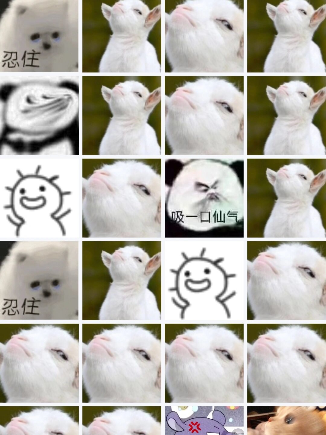 谁能拒绝一只傲娇的小羊 傲娇小羊,你值得拥有 最近迷上了这个表情包