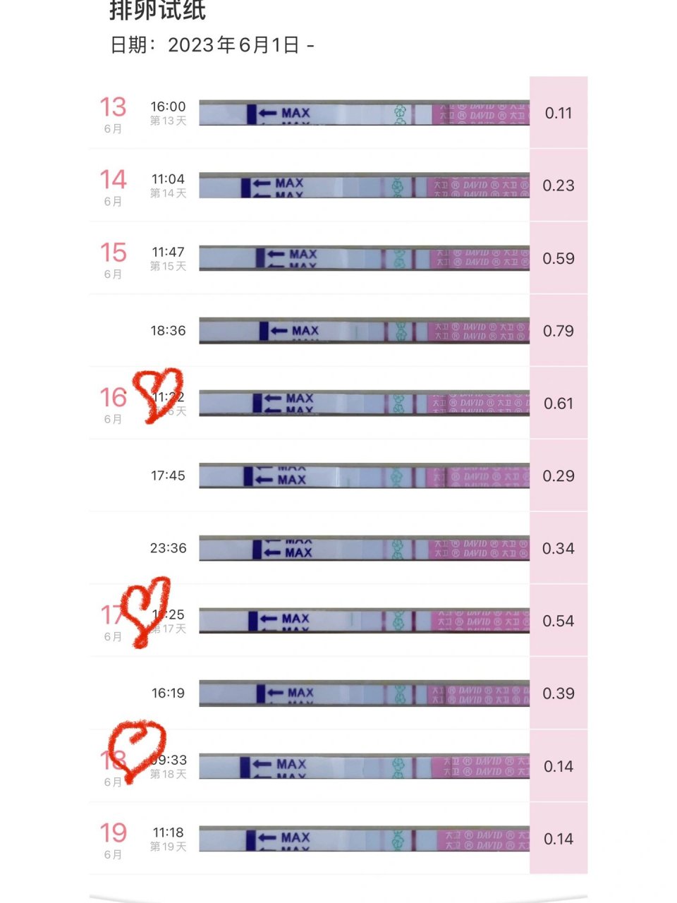 大卫验孕棒 阳性图片