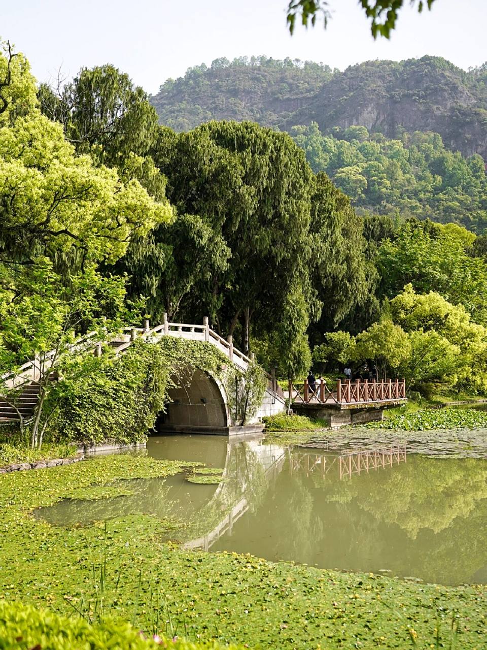 黄岩九峰公园|天然氧吧 小时候就去过的公园,树木非常的繁茂,天然氧吧