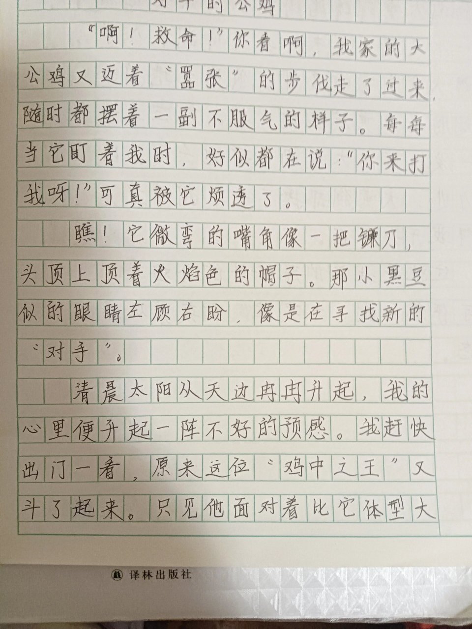 好斗的公鸡作文图片