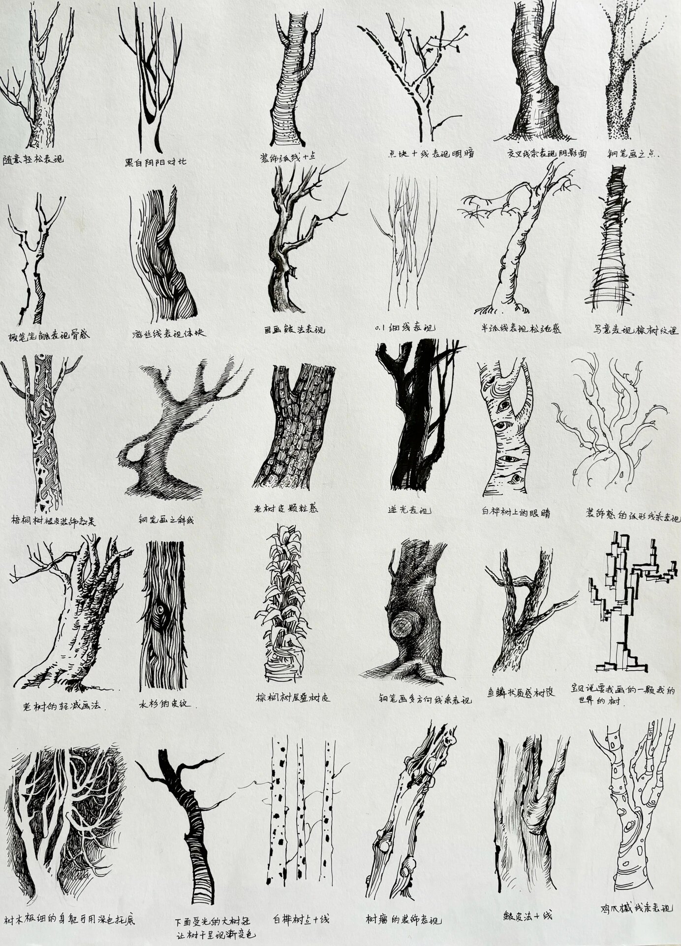 风景写生中树干的30种钢笔画法
