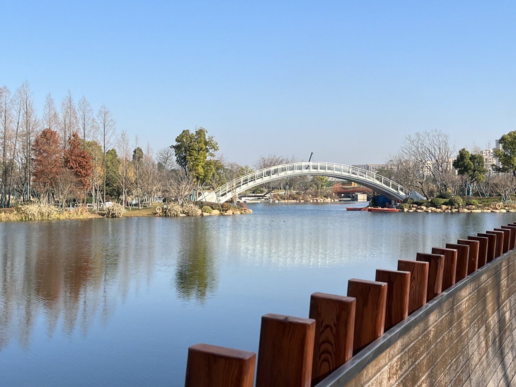 艳阳高照丰收湖,踏冬遛娃好去处 白天杭州的气温达到了二十度,没有一