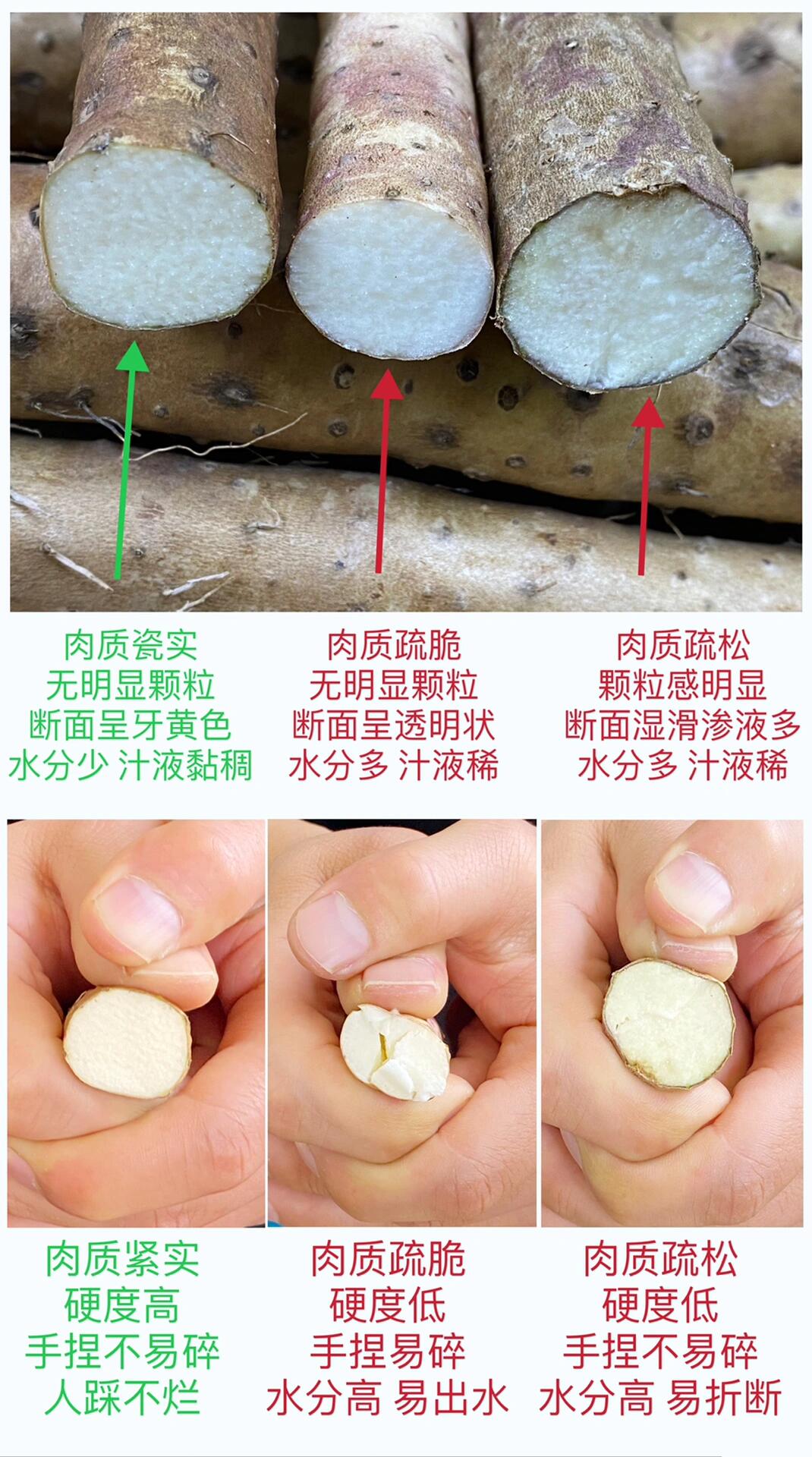 正宗铁棍山药辨别图片图片