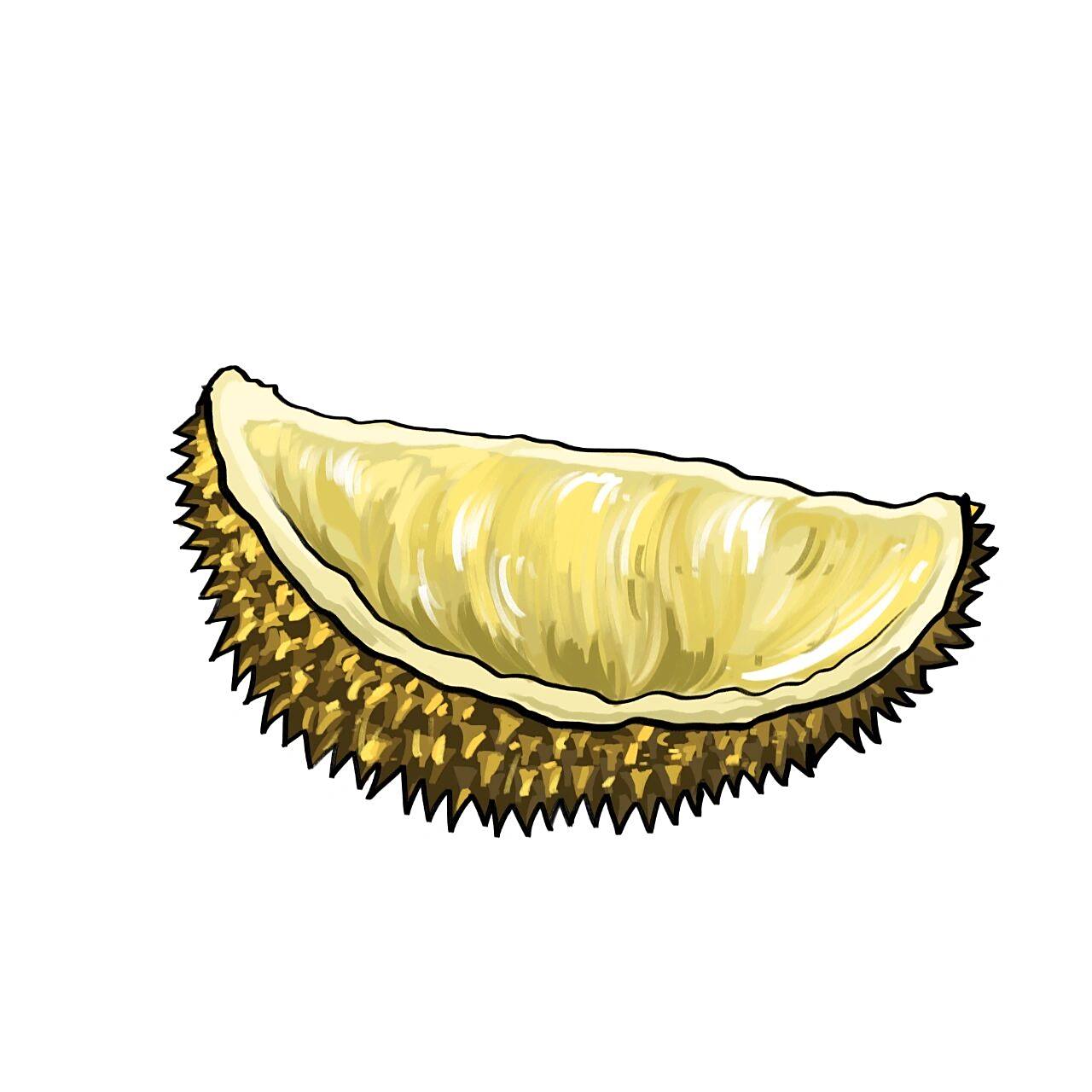 榴莲简笔画教学