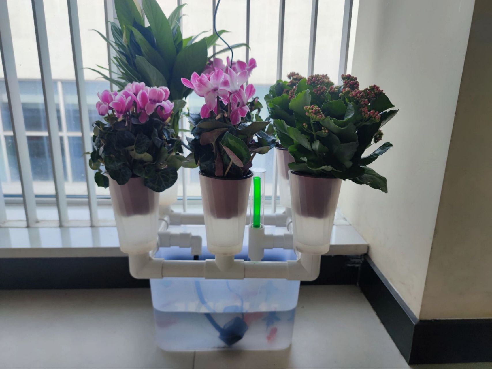 科学手工作品 世界水日,节约用水.