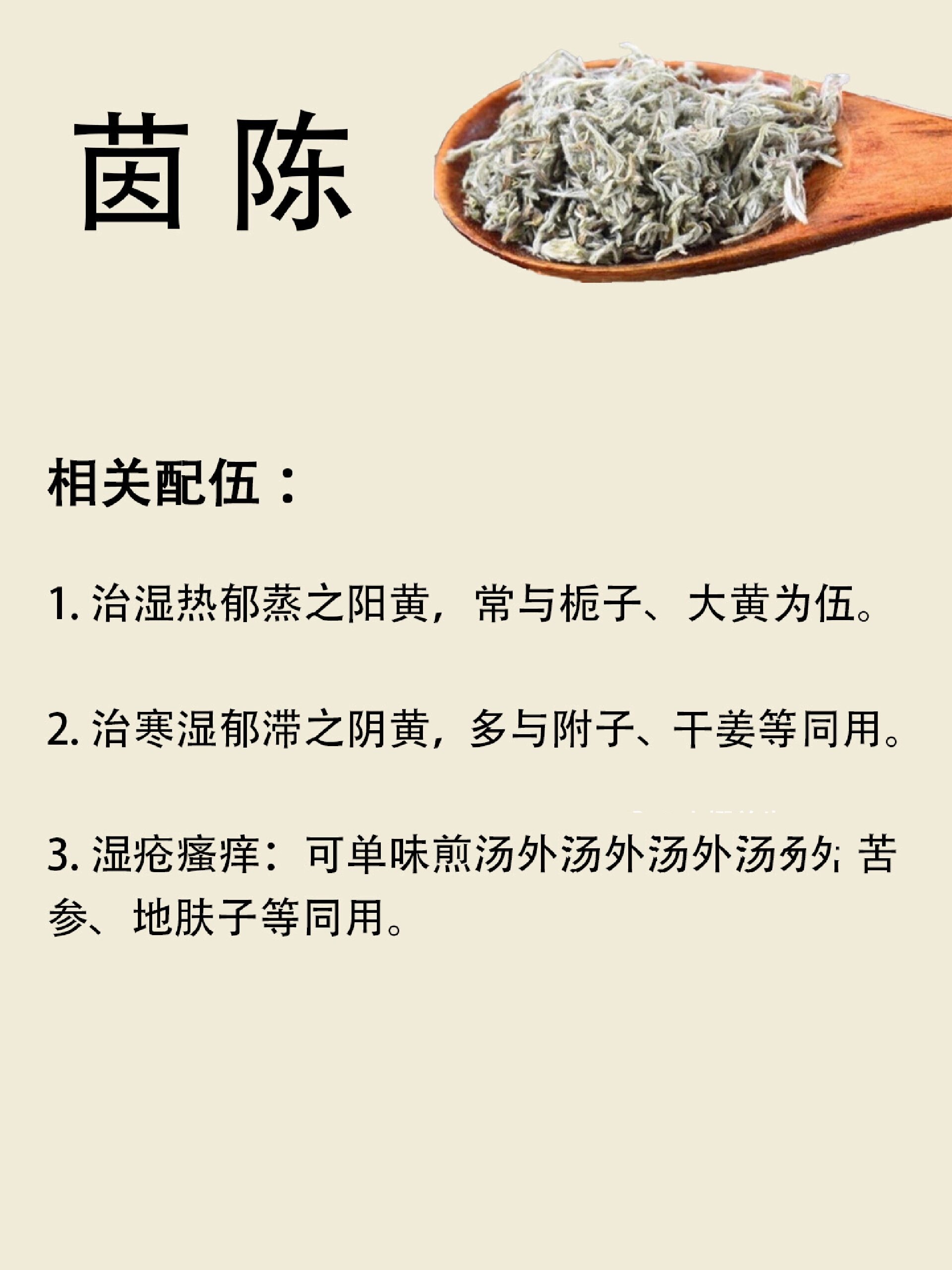 茵陈性味图片