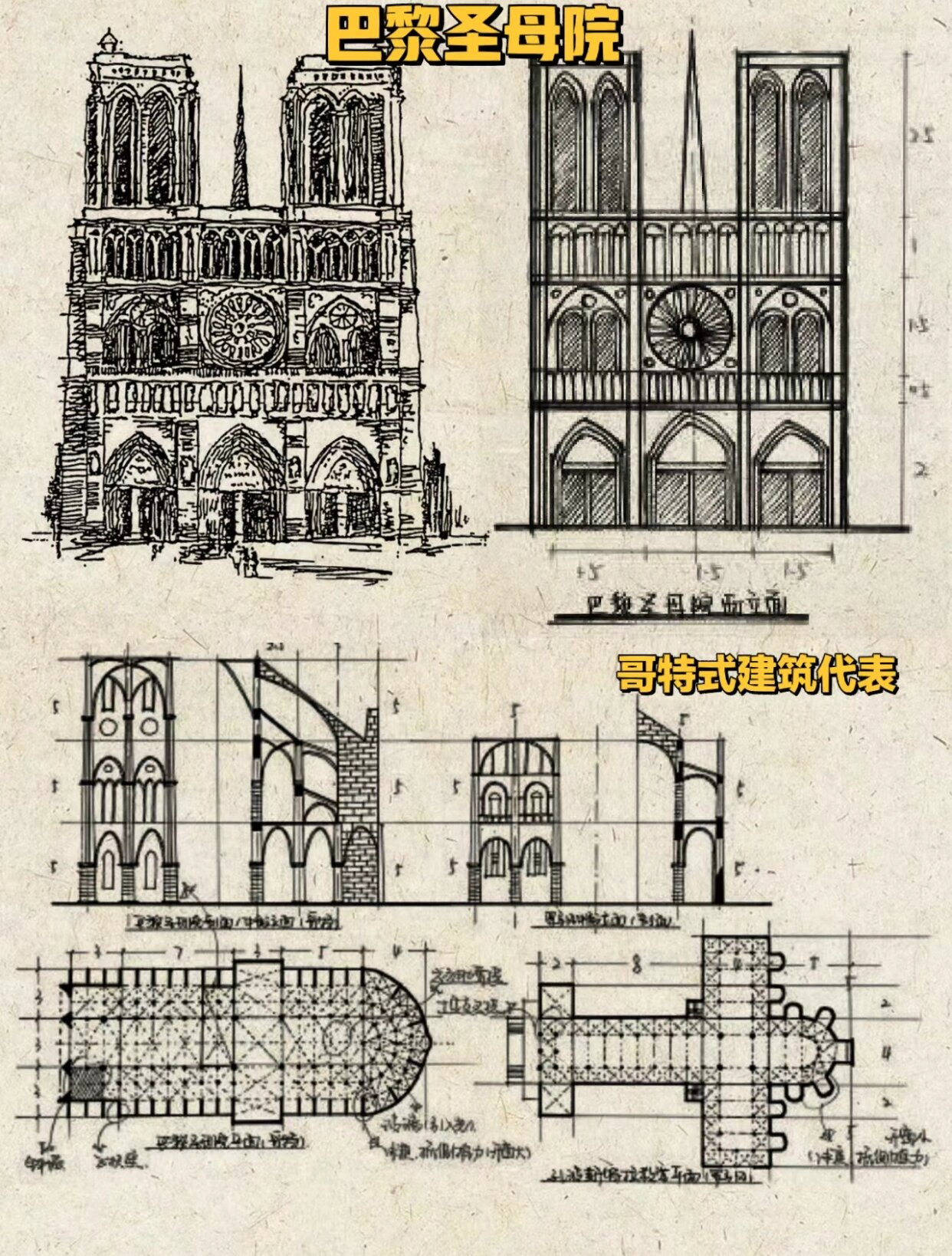 巴黎圣母院建筑解析图图片