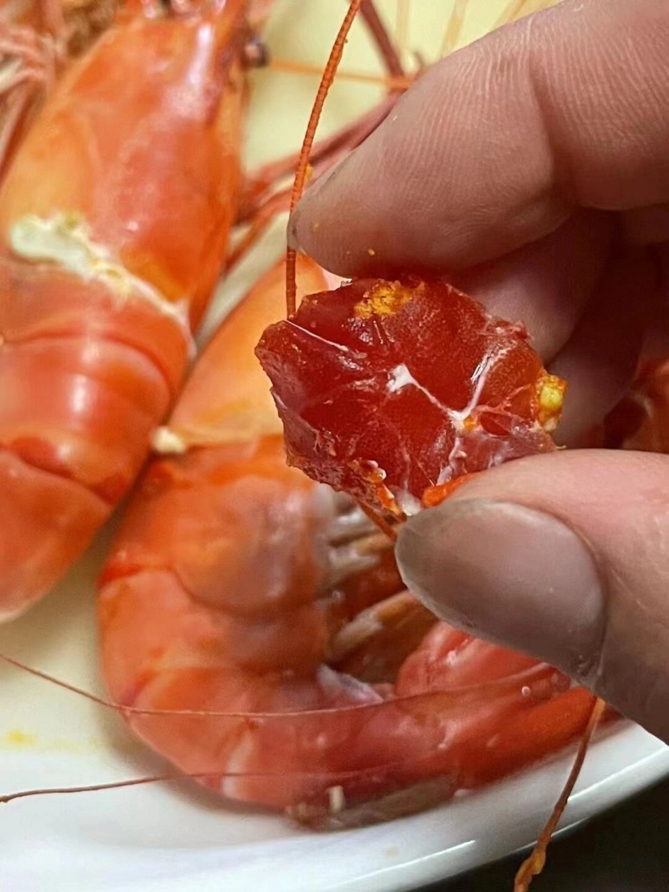 时令美食太湖一号大虾 肉质鲜美虾膏足 蒜蓉,清蒸,白灼都很好吃97