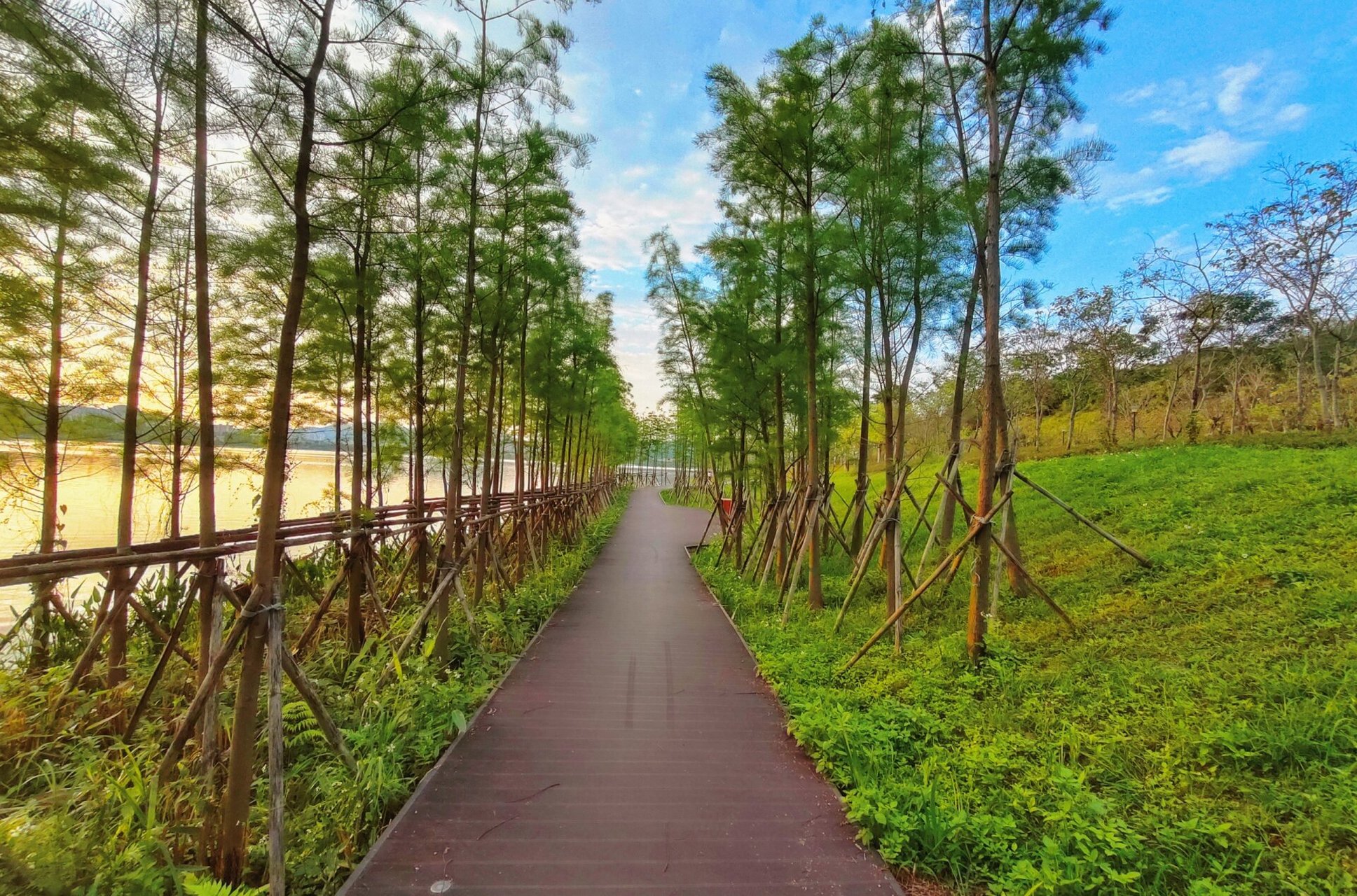 广州拍照|增城荔湖公园拍照圣地 荔湖湿地公园位于荔湖沿线,荔湖水