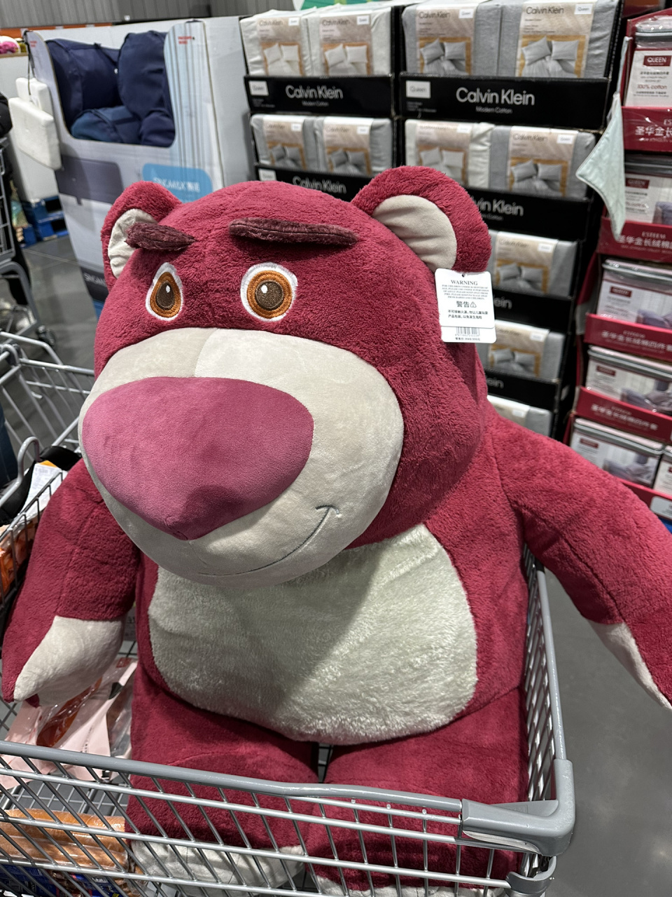 只要399! 坐标苏州costco,原价999的草莓熊!