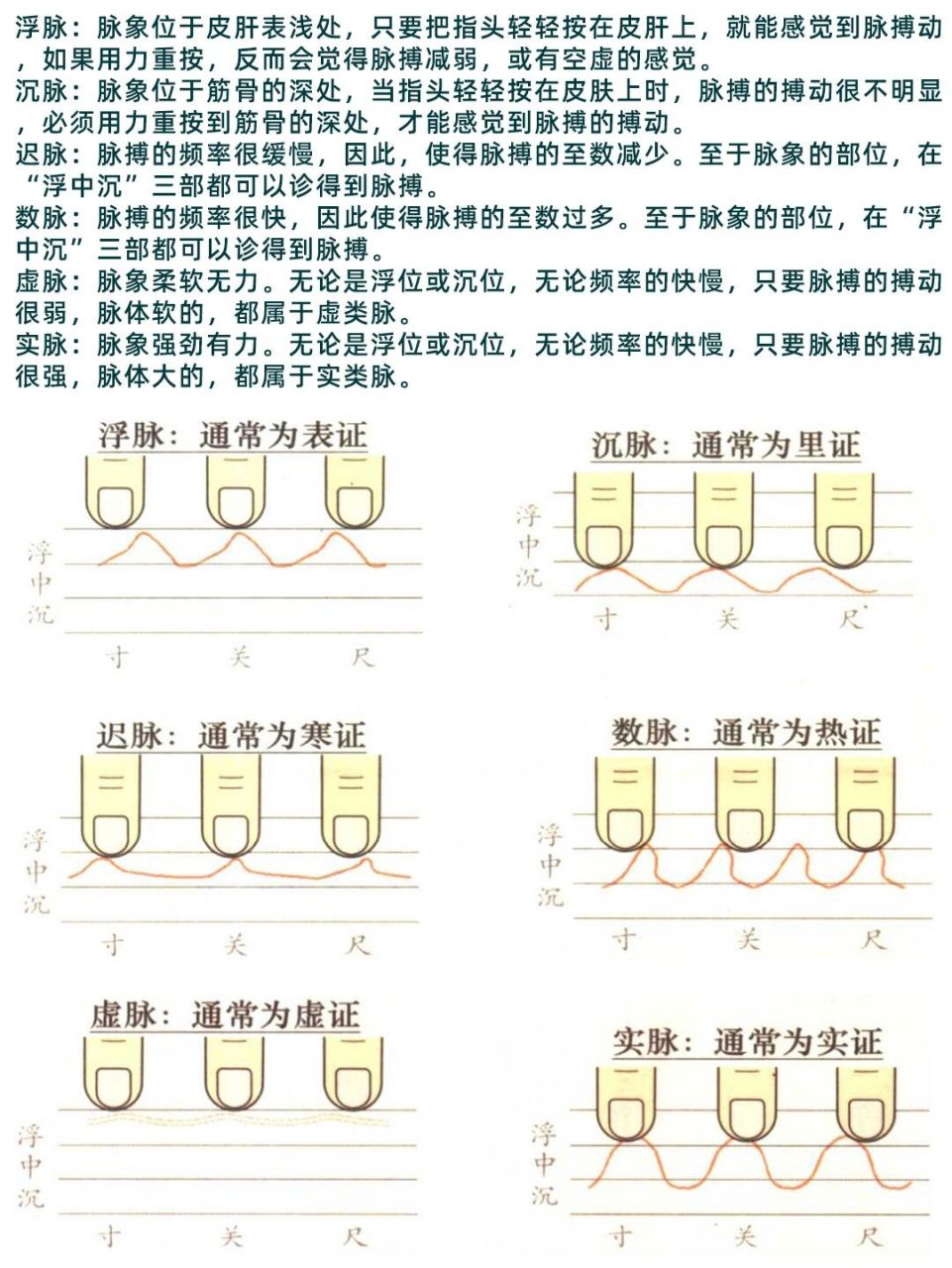 上,中,下脉图解图片