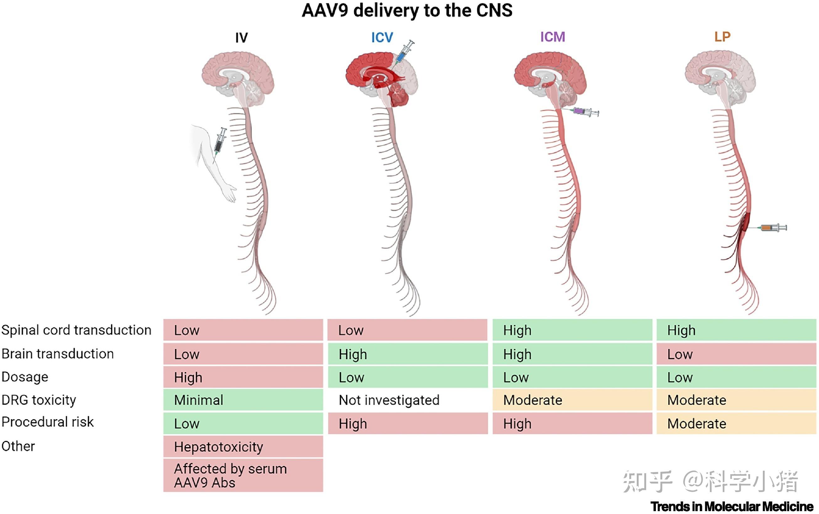 能否通过钻颅向大脑直接注射药物的方法来突破血脑屏障