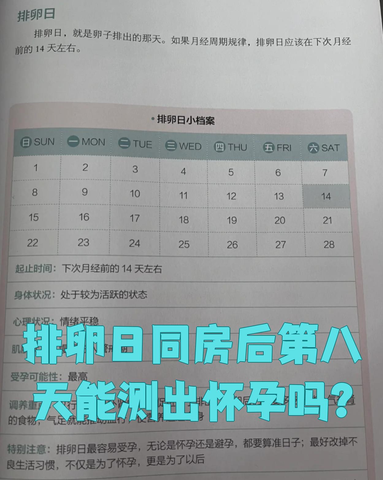 排卵日同房后第八天通常测不出怀孕