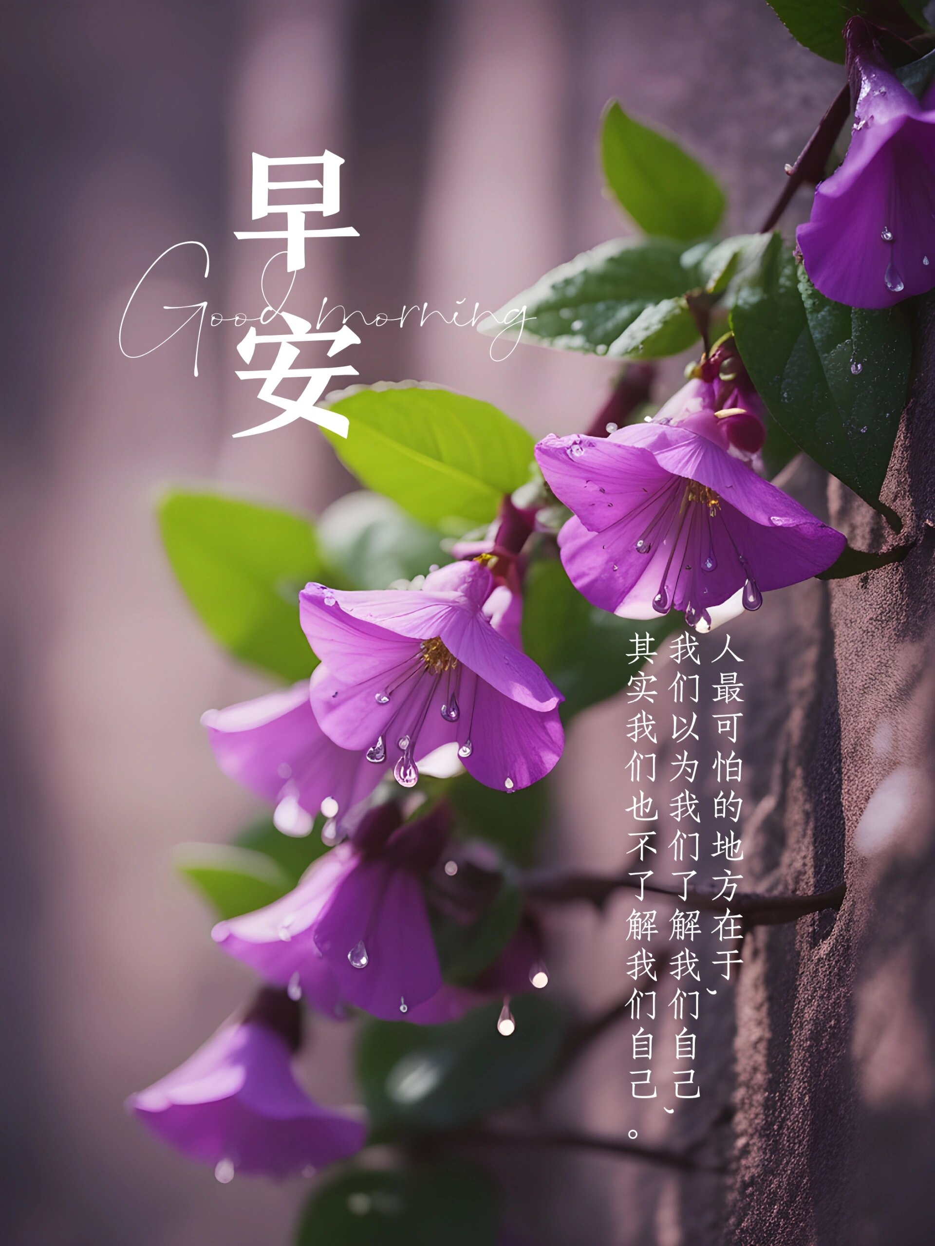 每日早安正能量励志问候语早安海报早安文案