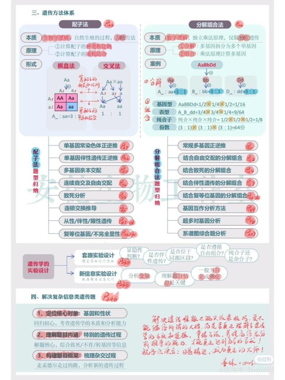 遗传信息的转录图片